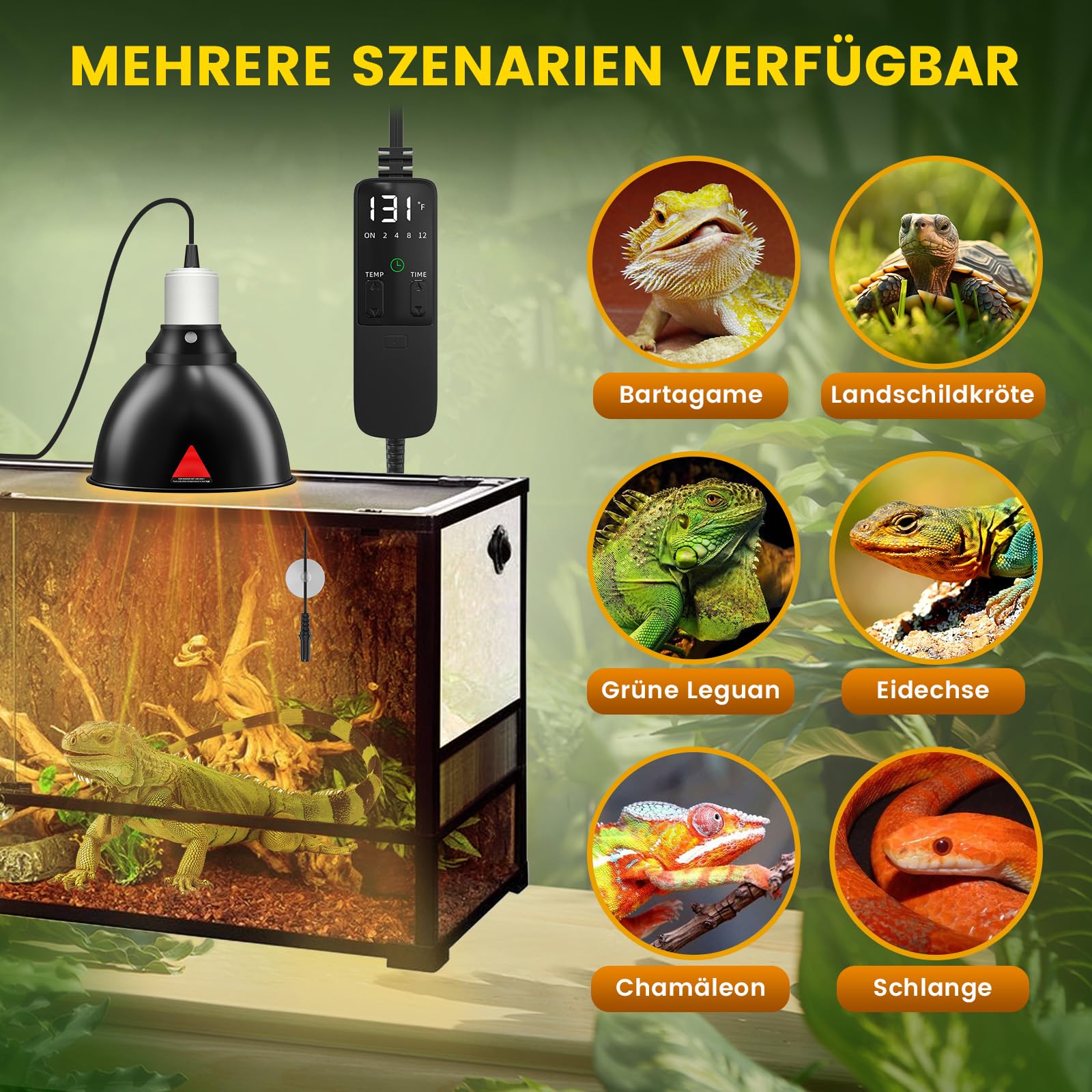 GlowUp Wärmelampe Terrarium, 5.5-Zoll Reptilien Wärmelampe mit Thermostat und Timer, E27 Reptile Dome 300W Lampenfassung für Schildkröte Eidechse Bartagamen (Keine Glühbirne)