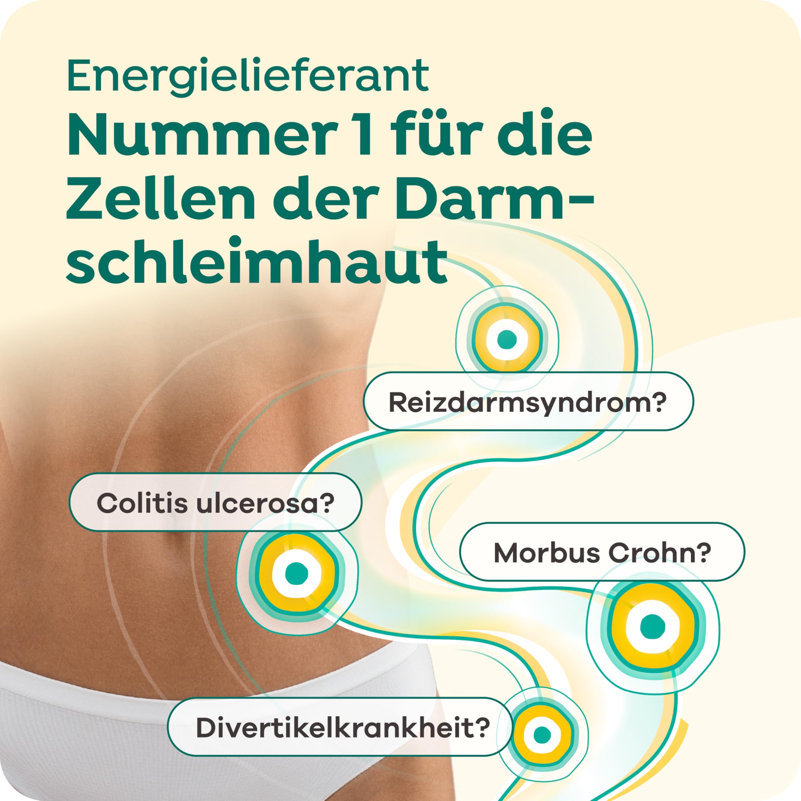 Butyzol Mikroverkapseltes Natriumbutyrat 60 Kapseln – Bei Reizdarmsyndrom, Divertikelkrankheit, Morbus Crohn, Colitis ulcerosa – Patentiert & Wirksamkeit durch Studien belegt