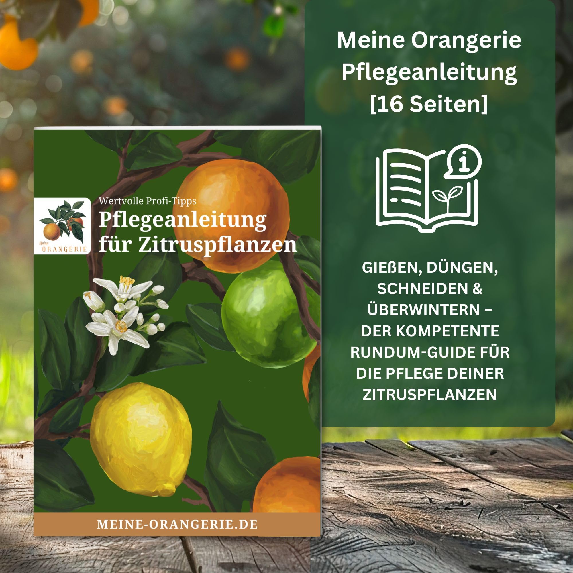 Meine Orangerie Zitrus-Pflegepakete mit Dnger, Erde & Zubehr
