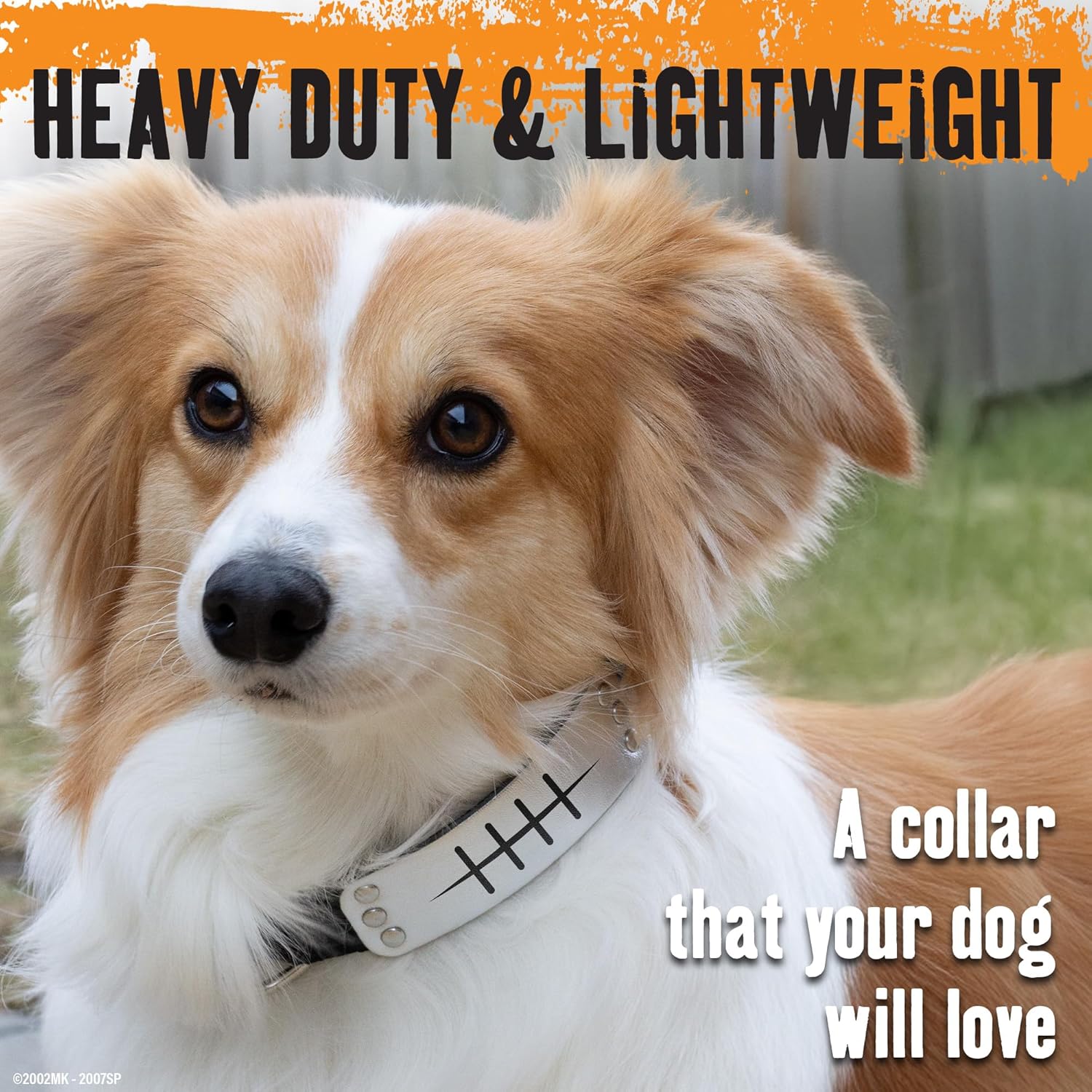 Naruto Dog Collar for Large Dogs, Medium, Small, XS Puppy Collars: Officially Licensed Naruto Shippuden Anime Dog Collar Pet Accessories, Naruto Gifts for Boy or Girl Dog (Black, Rogue Rain, X-Small)
