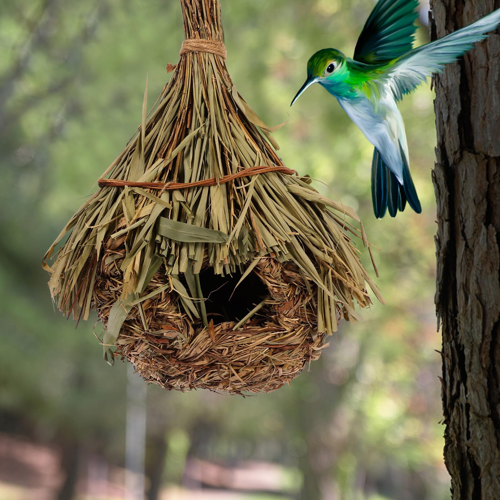 Nid d'oiseau colombe pour le salon - Mangeoire à oiseaux en bambou - Décoration en forme de goutte - Accessoires pour oiseaux à suspendre - Paille tissée