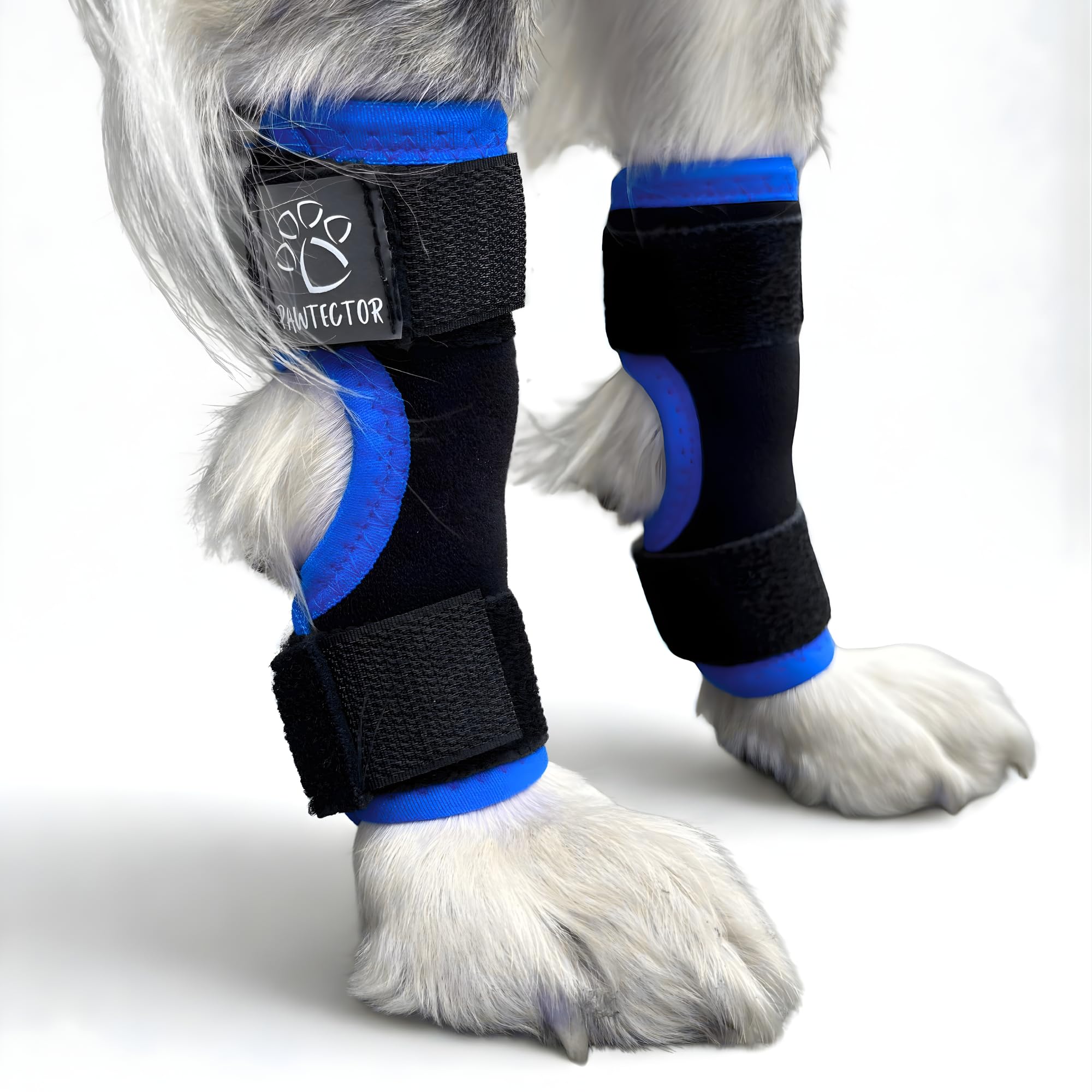 PAWTECTOR Dog Leg Support Wrap - Flexible Leg Brace, Blue XS