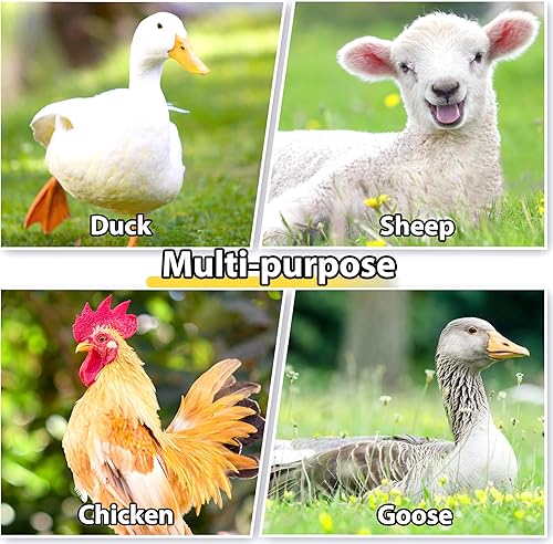 Miniatura 7 de Gallinero de metal grande, corridos de pollo para patio con cubierta, jaula de aves de corral para 10 20 pollos, gallinero con parte superior