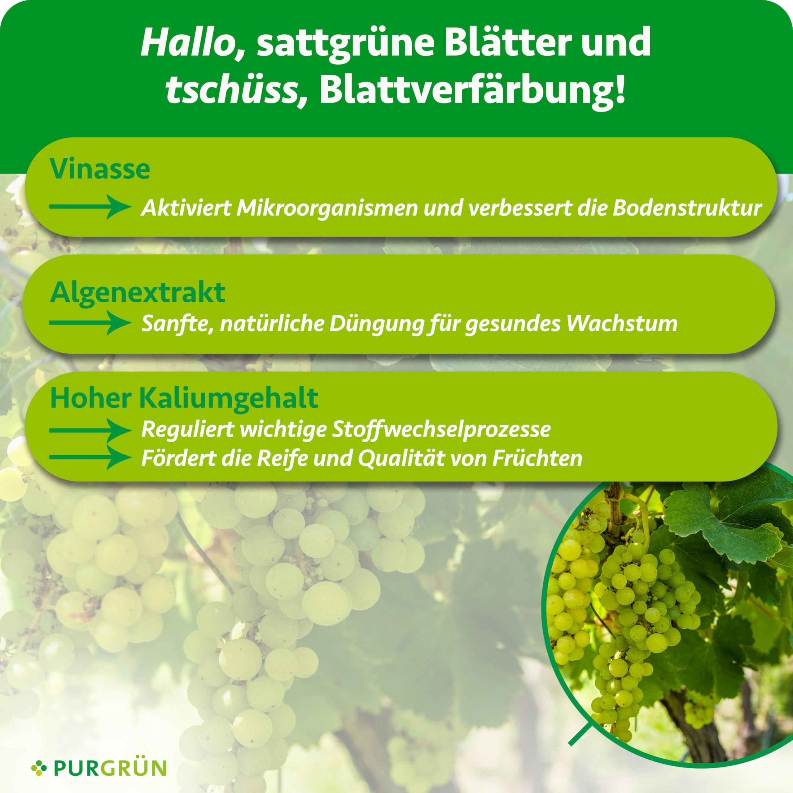 Bio-Tafeltrauben-Dünger 1 Liter – Organische Rezeptur – Premium-Flüssigdünger – NPK 4+1+7 – Mit Algenextrakt & Vinasse – Extra Kalium für saftig süße Trauben – Ohne tierische Inhaltsstoffe
