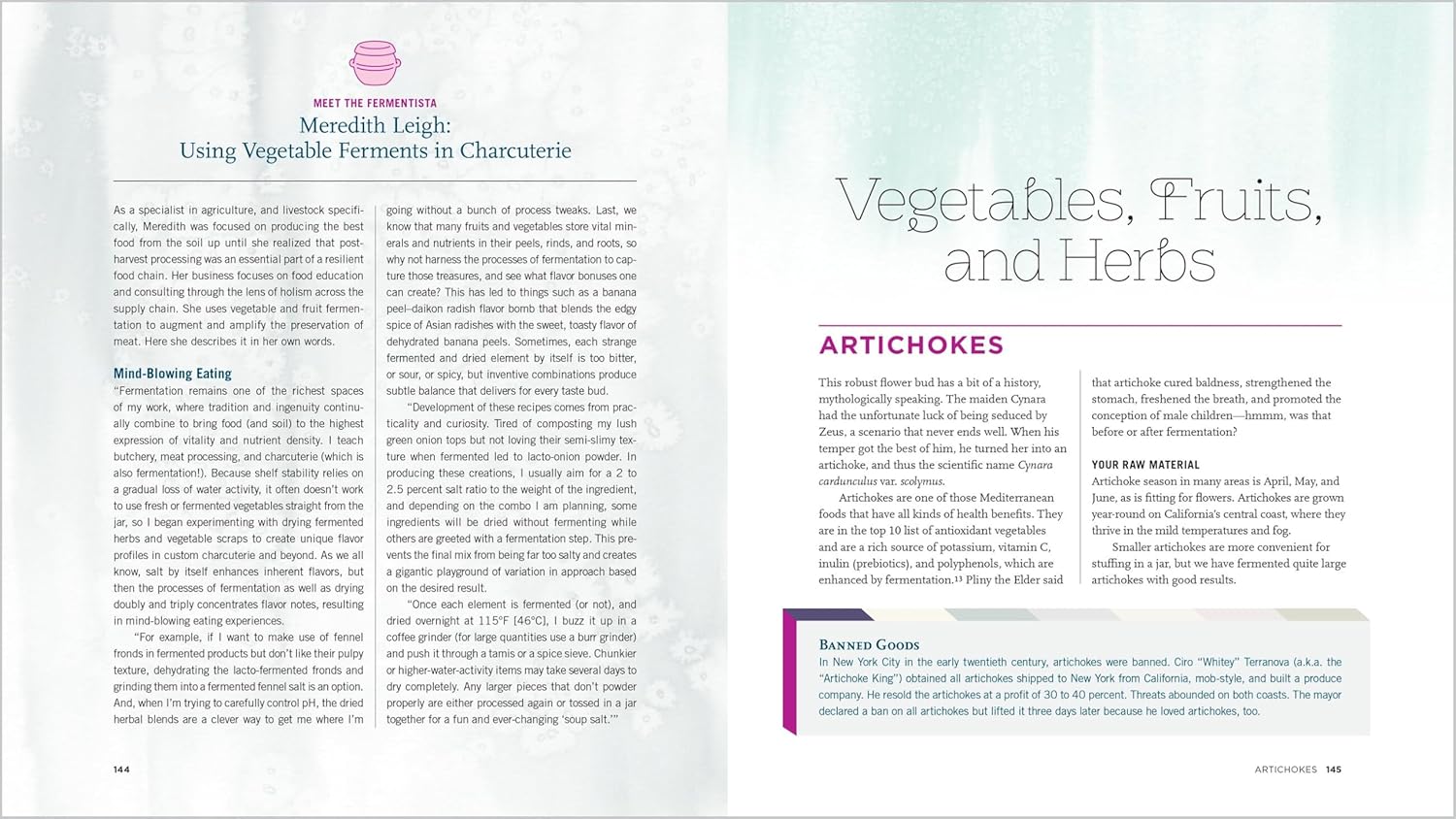 Fermented Vegetables, 10th Anniversary Edition: Creative Recipes for Fermenting 72 Vegetables, Fruits, & Herbs in Brined Pickles, Chutneys, Kimchis, Krauts, Pastes & Relishes - Image 4