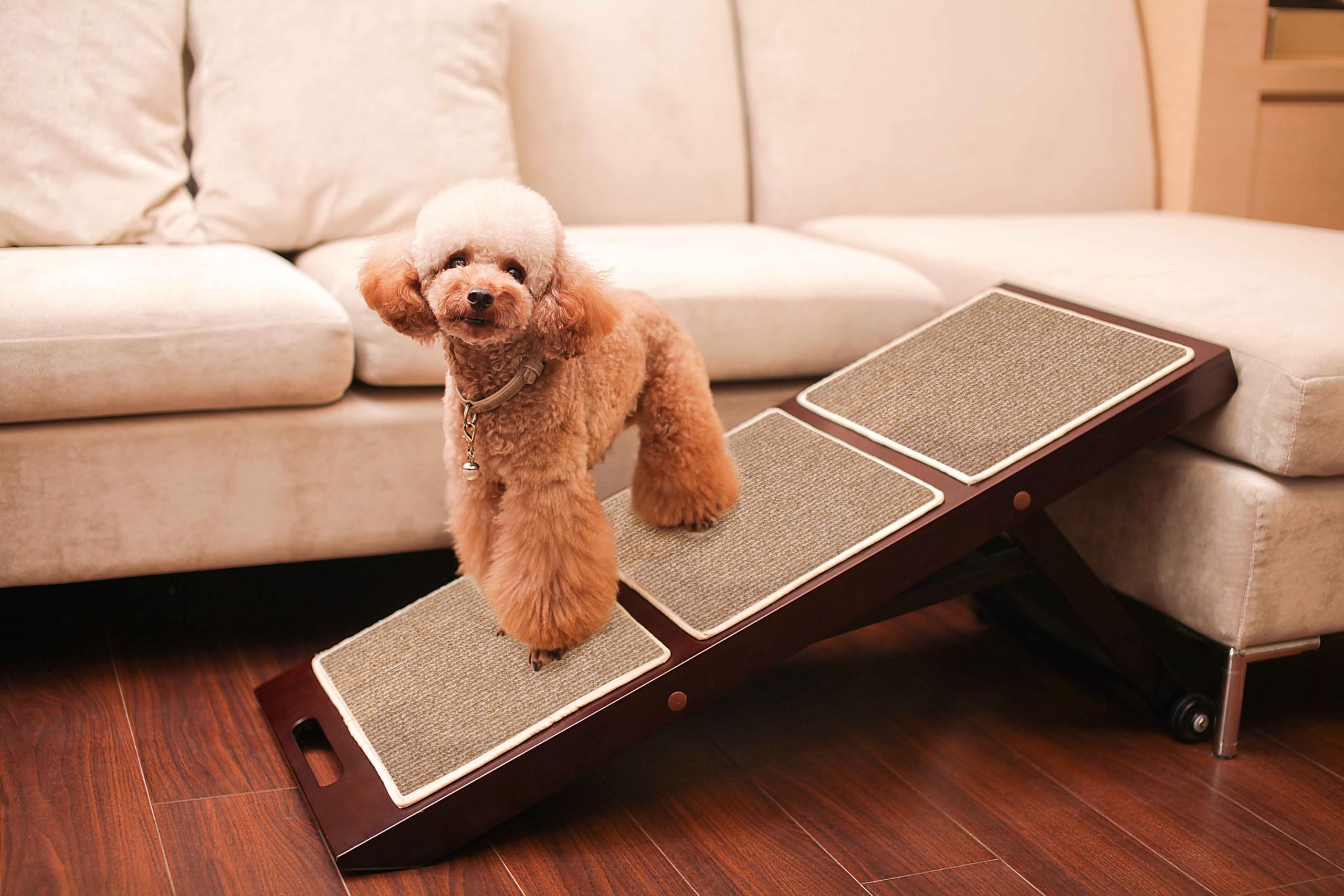 zoovilla Rampa Plegable para Mascotas