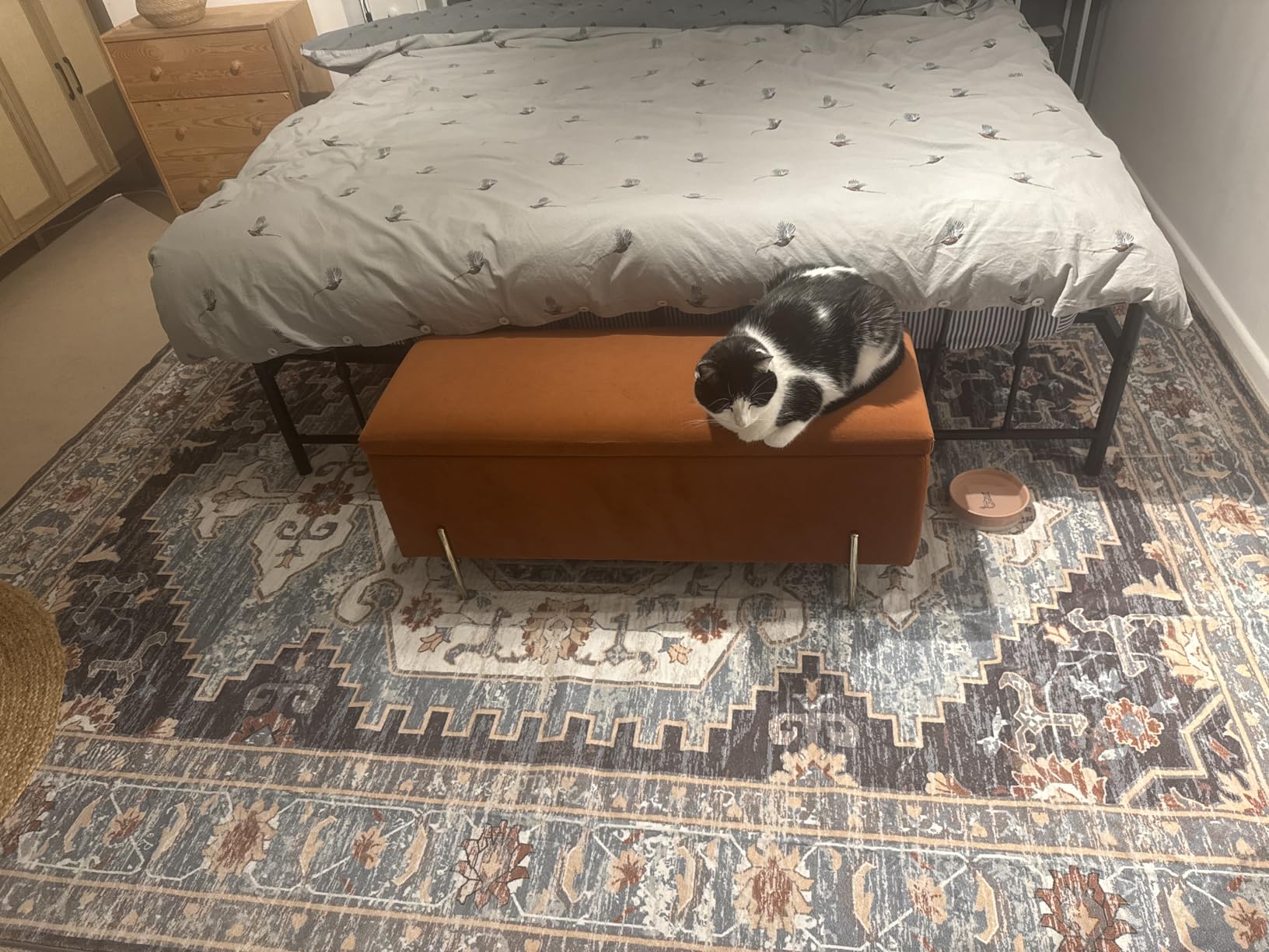Customer photo