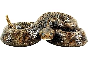 Western Diamondback Rattlesnake Figurine by Michael Carr Designs
