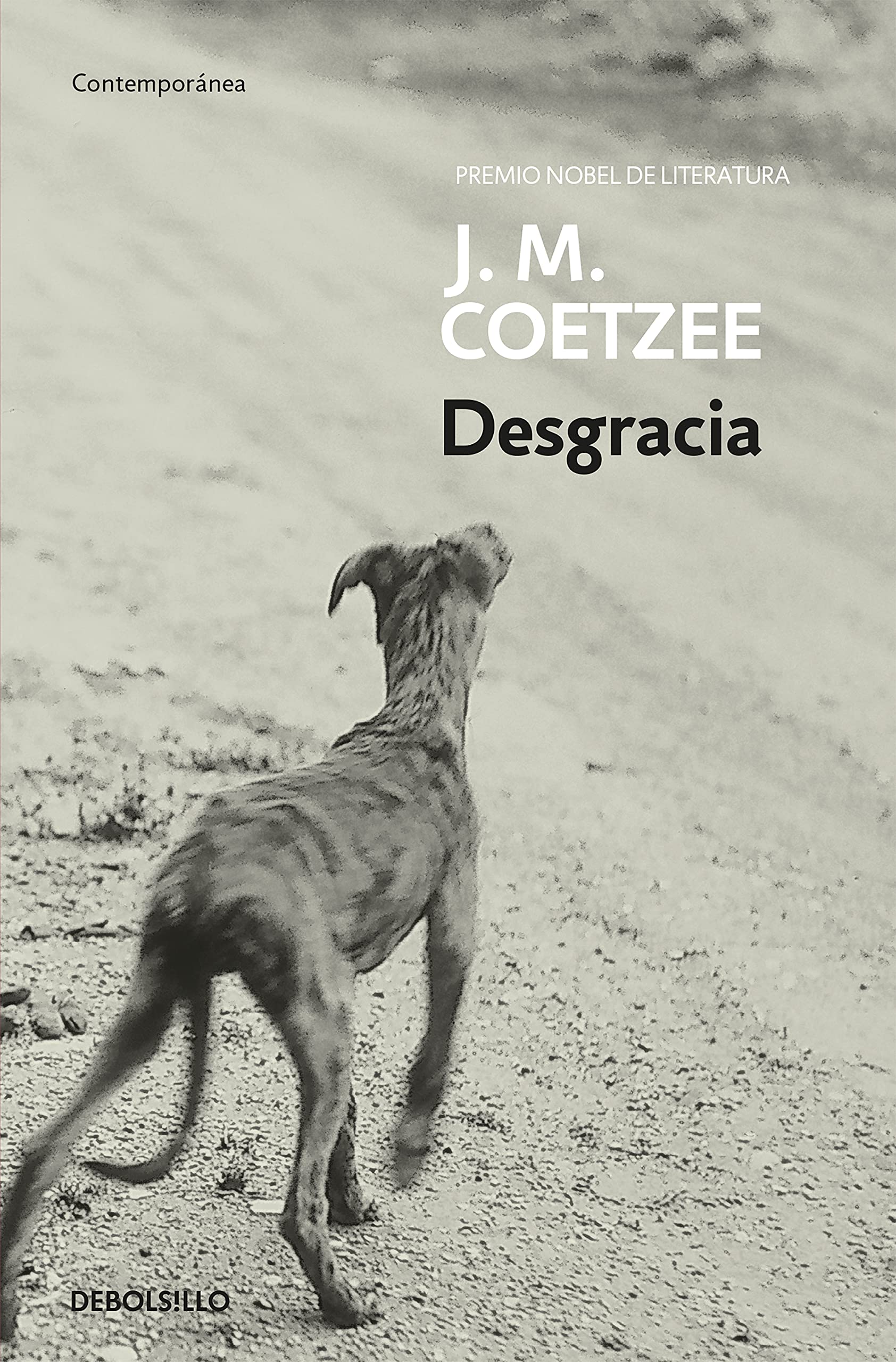 Desgracia / Disgrace (Contemporanea / Contemporary)