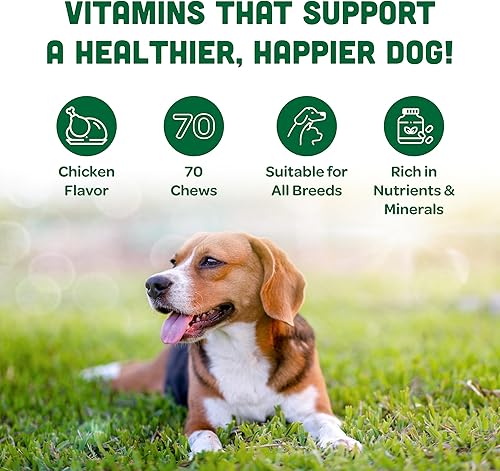 Miniatura 4 de ROSIE & MAX Suplemento calmante y silencioso para mascotas, masticables para perros, relajante y apoyo para la ansiedad para razas pequeñas,