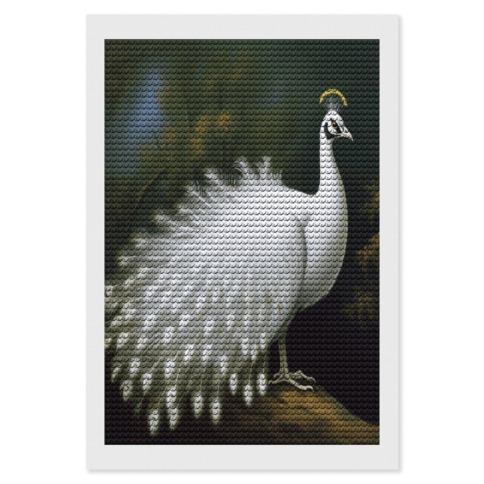 FekiLoot White Peacock Diamond Art Kits for Adults Diamond Painting Kits for Beginners DIY Diamond Art Kits Round Full Drill Diamond Dot Gem Painting for Home Wall Decor Gift 8"x12"