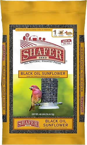 51041 40-Pound Bag, Black Oil Sunflower Wild Bird Food