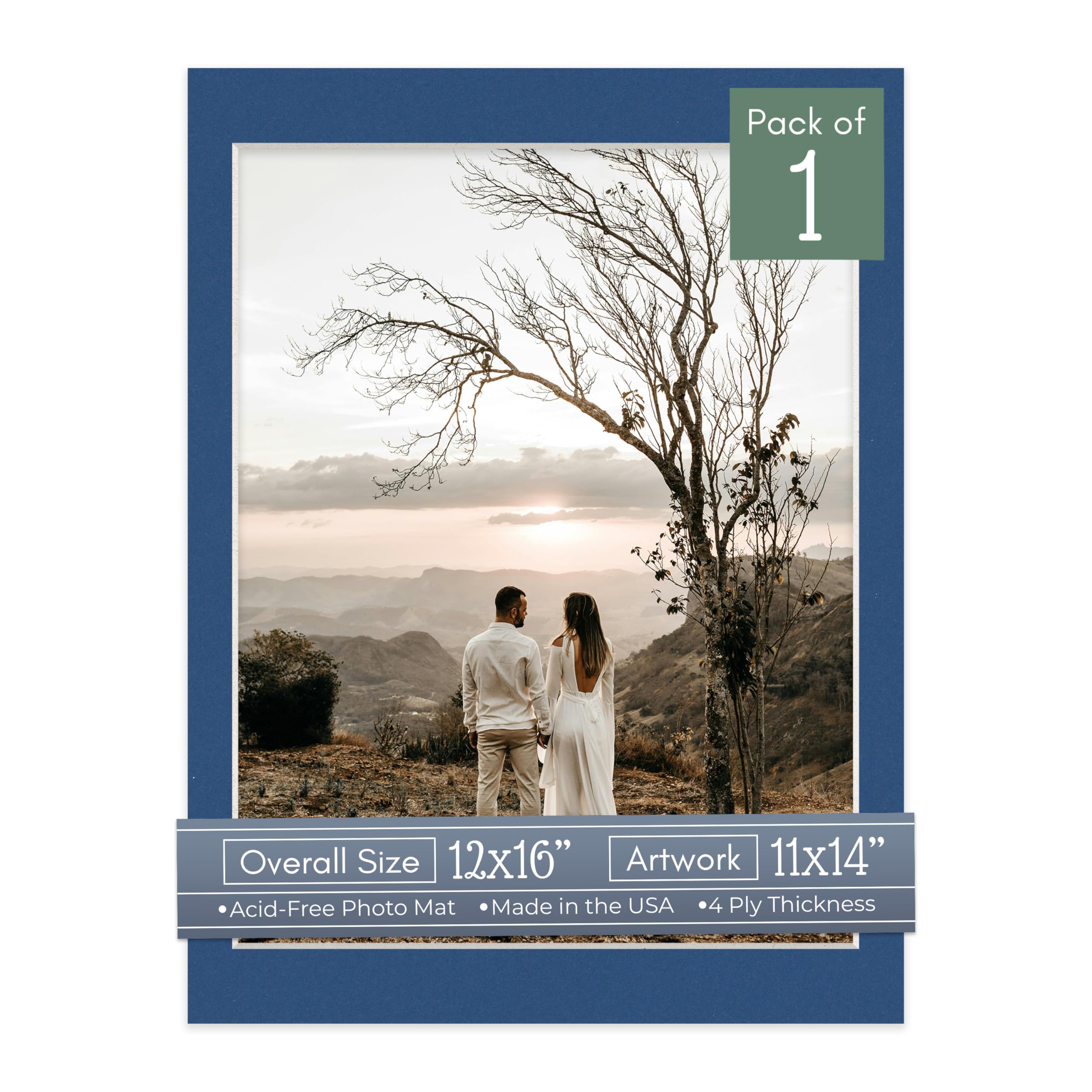 Bottle Blue Acid Free 12x16 Picture Frame Mats with White Core Bevel Cut for 11x14 Pictures - Fits 12x16 Frame - One Mat-image-45