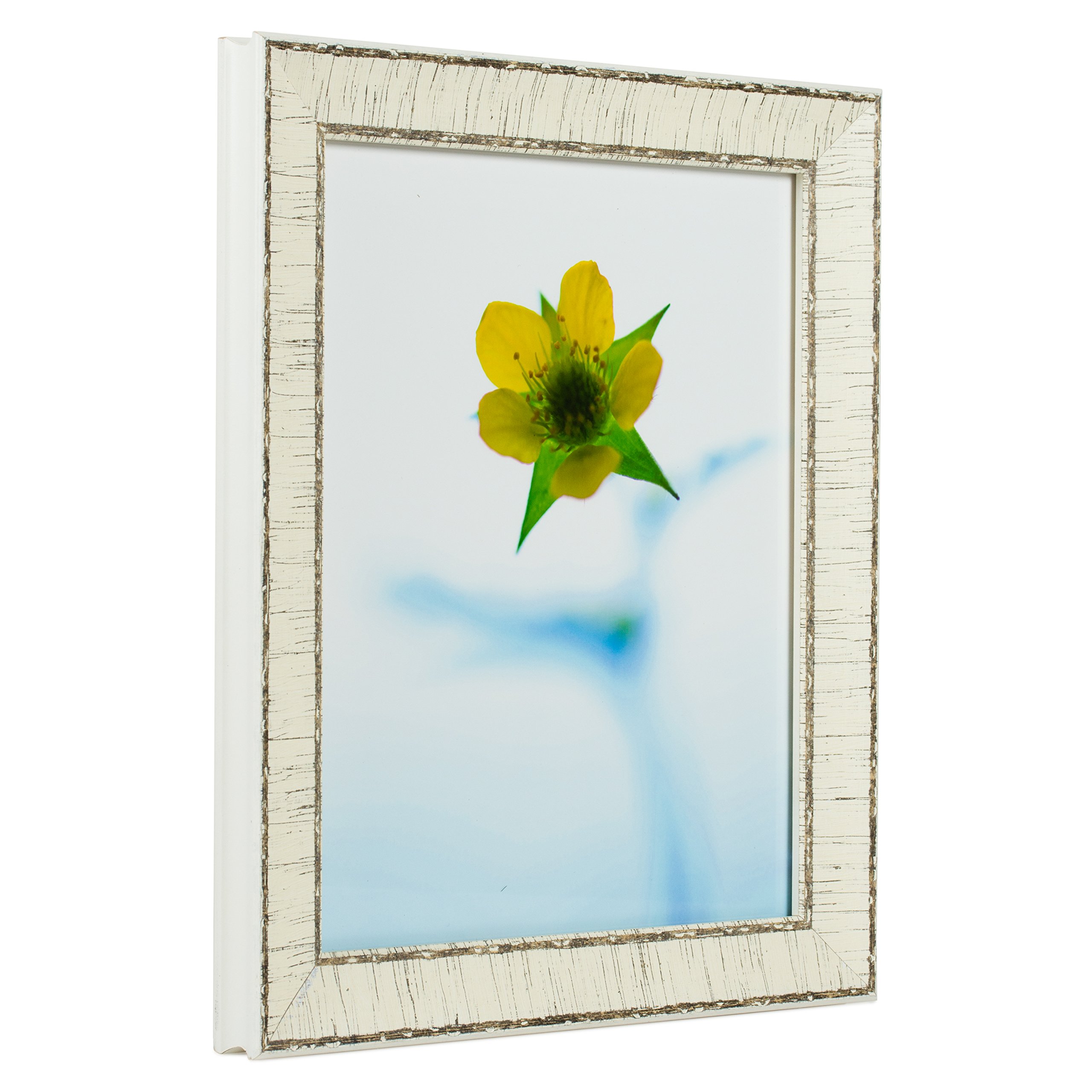 Craig Frames Marea, Weathered Off-White Birch Bark Picture Frame, 14 by 22-Inch