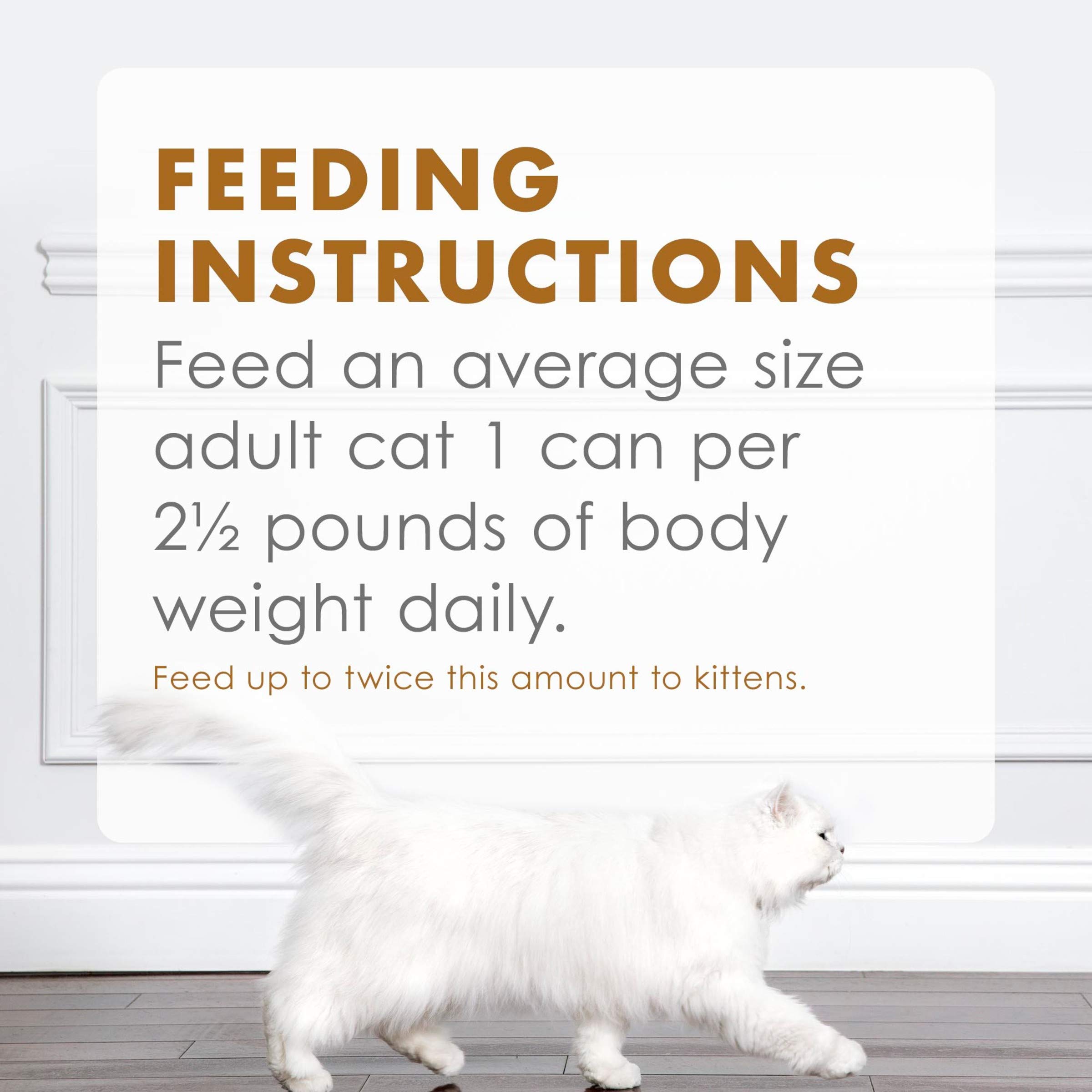 Buy Purina Fancy Feast Gravy Wet Cat Food, Gravy Lovers Ocean Whitefish