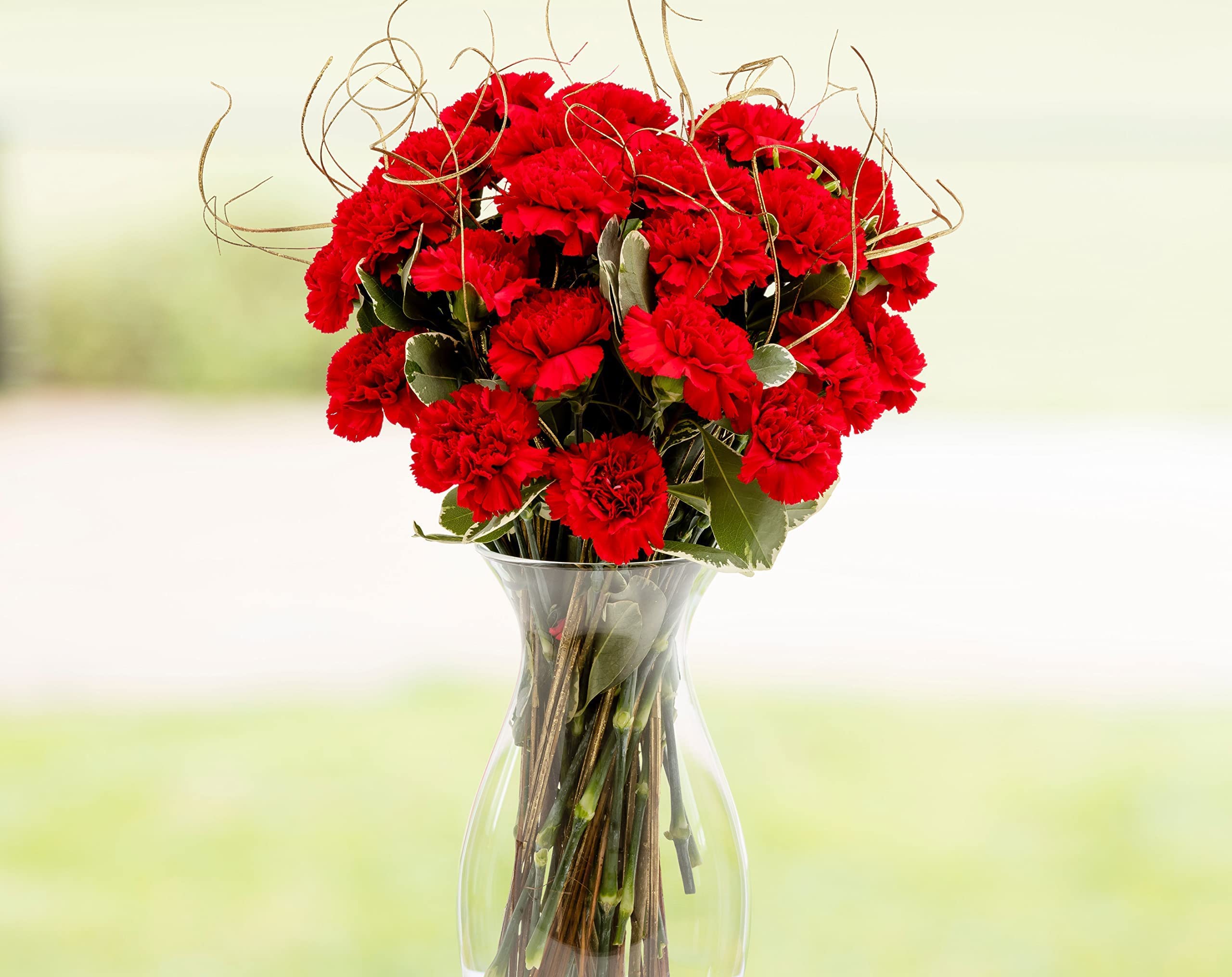 24 Luxury Red Carnation Bouquet delivered with Chocolates and come with our 14 day guarantee