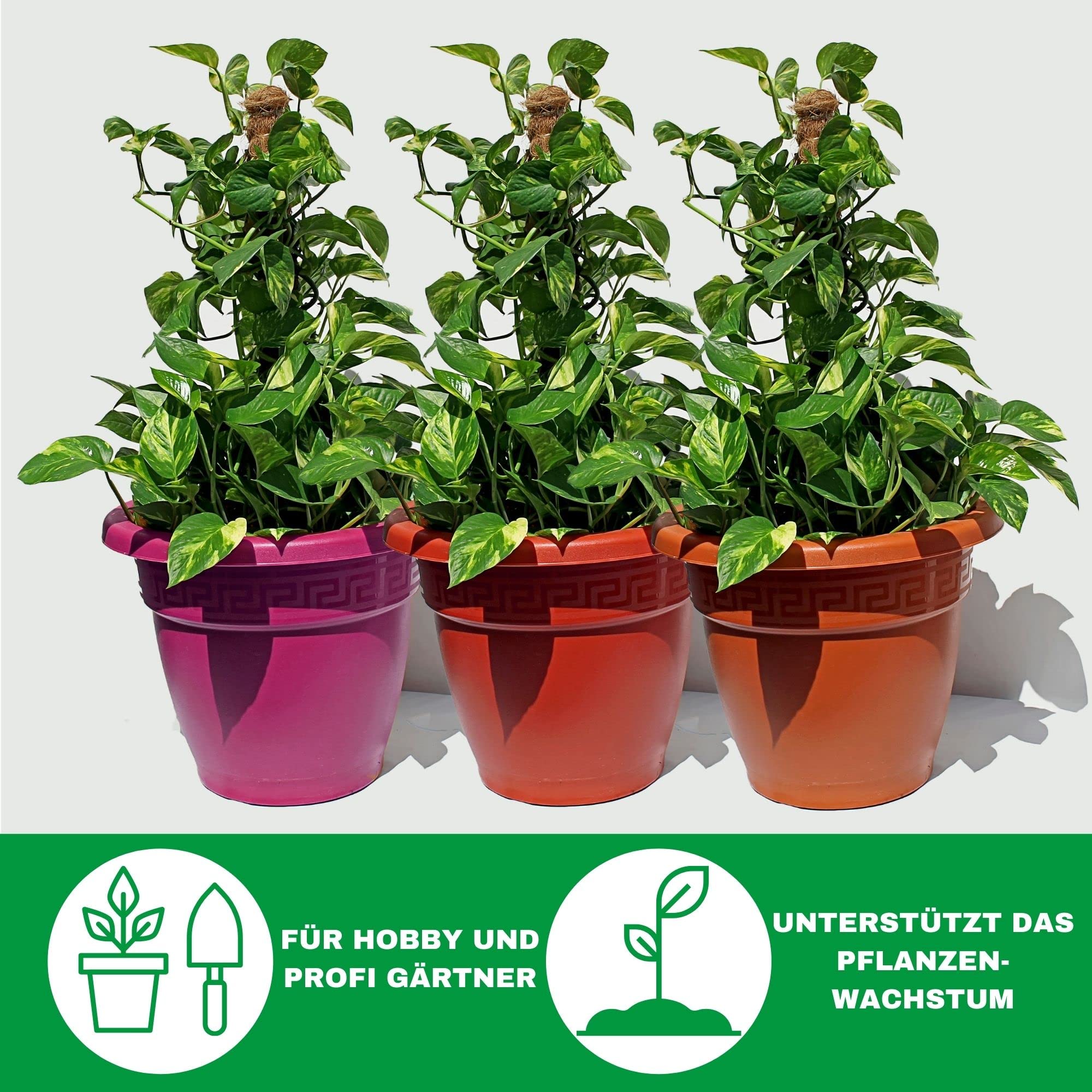 Novatool 3X Kokosstab fr Pflanzen 80 cm I  45mm I verlngerbar I  natrlicher Kokosfaser I Rankstab Kokos fr Monstera Pflanze Efeutute Moss  Pole : Amazon.de: Garten