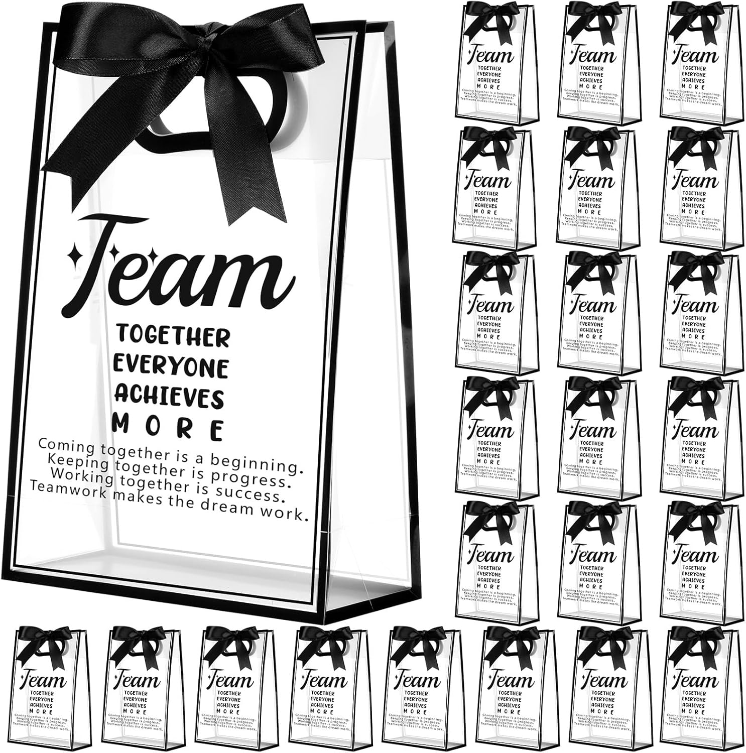 Shinylin 24 Pcs Employee Appreciation Clear Gift Bags Inspirational Clear Plastic Gift Bags with Handle Ribbon Sometimes You Forget Reusable Thank You Party Favor Bag for Coworker Teacher, Black Gold