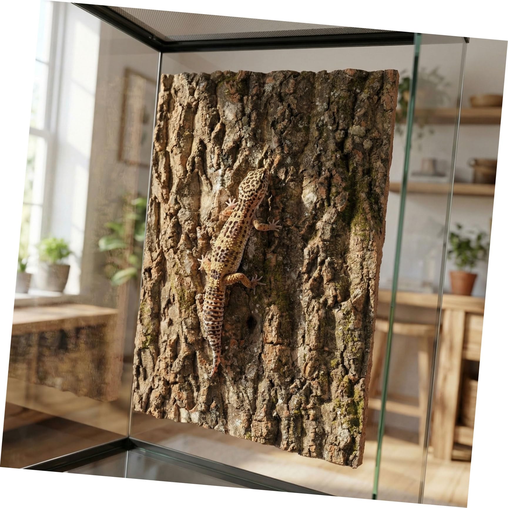 3 Sztuki Szt Naturalna Tła Dekoracja Terrarium Do Wspinaczki dla Gadów Uniwersalne Akcesoria Do Zbiorników z Żółwiami Jaszczurkami Kameleonami i Wężami