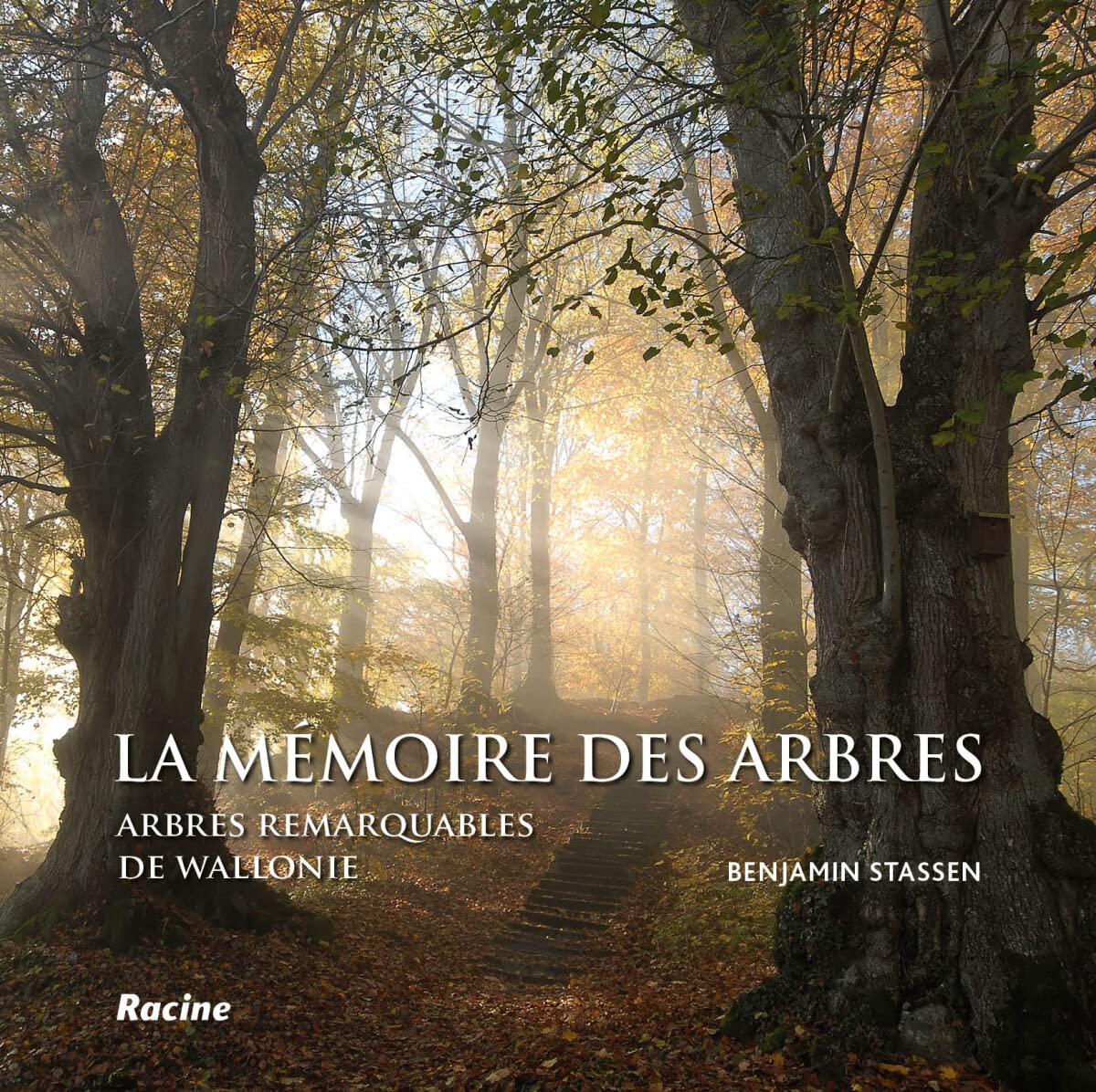 La mémoire des arbres: Arbres remarquables de Wallonie