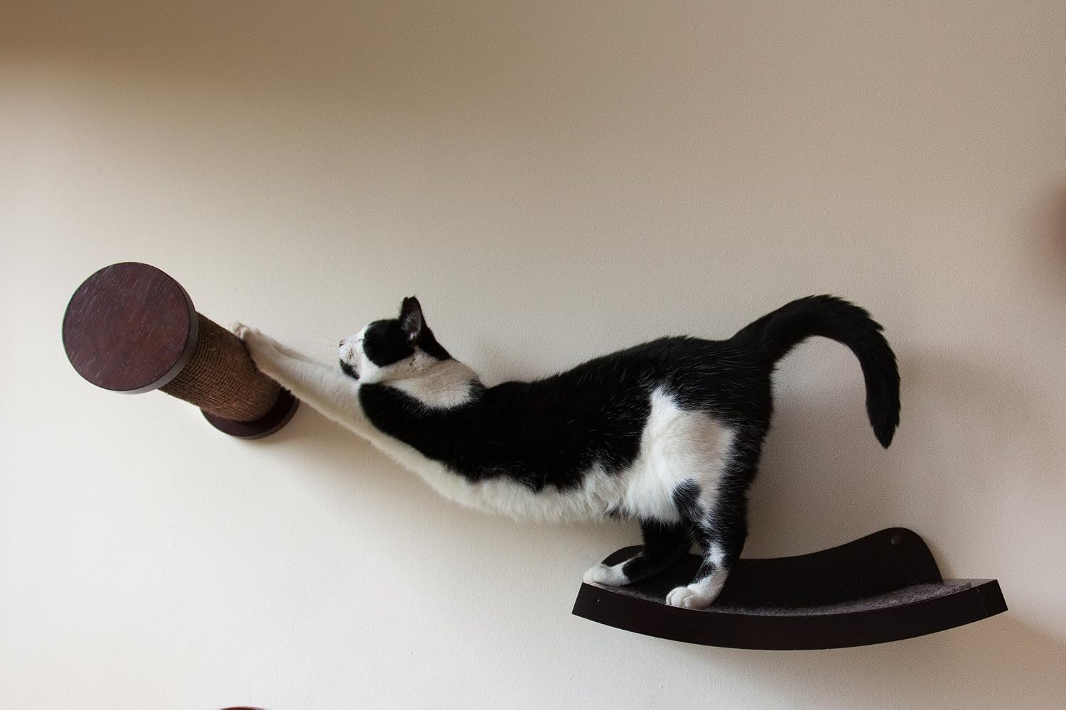Art of Paws Cat Shelf