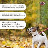 Ver la foto 5