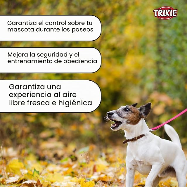 Foto 5 de 6 de TRIXIE Correa, XS-S, 1, 20m, 15 mm, Fucsia, para Perros