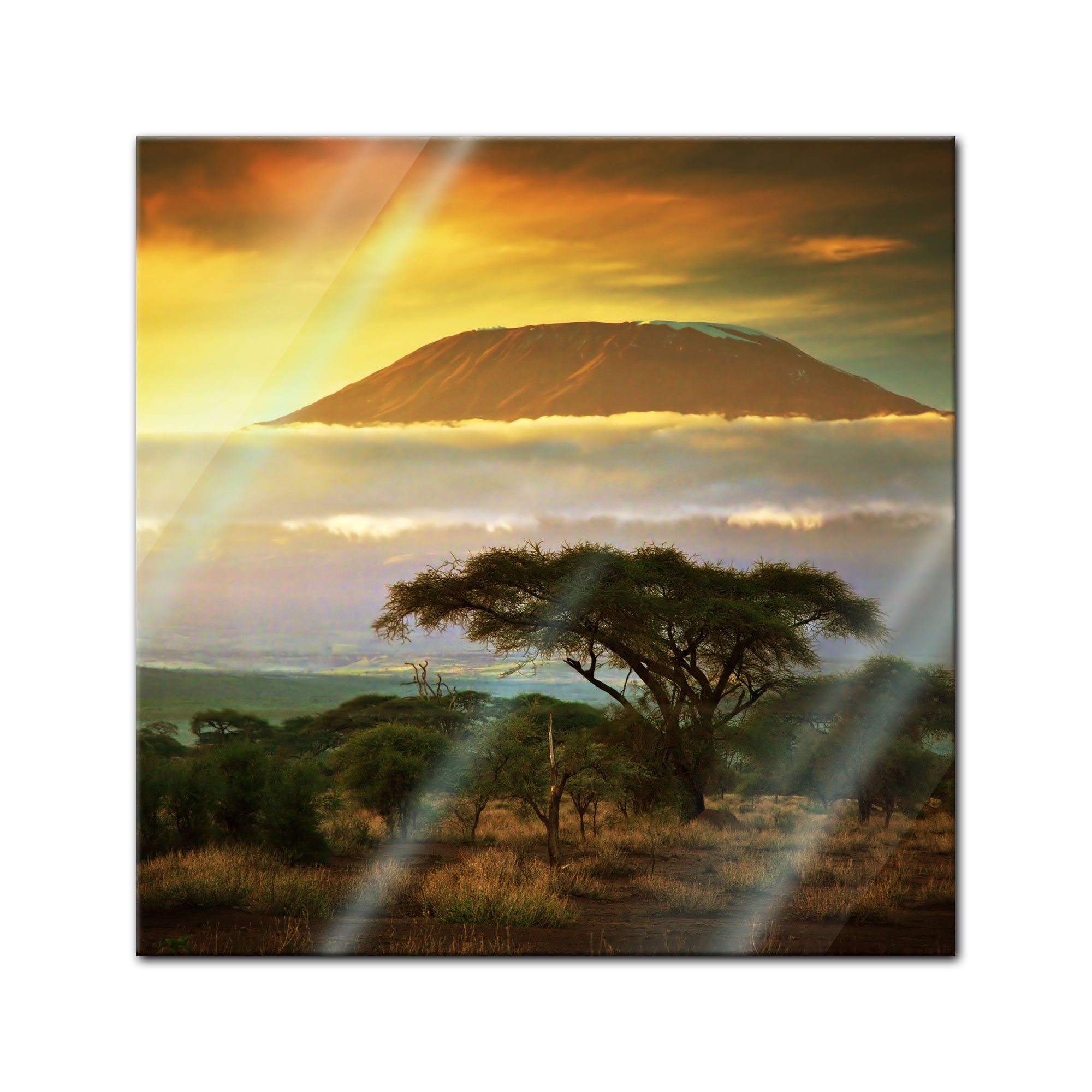 Bilderdepot24 Glasbild - Kilimandscharo in Kenya - Afrika - 50x50 cm - Deko Glas - Wandbild - Bild auf Glas - moderne Glasbilder - Glasfoto - Echtglas