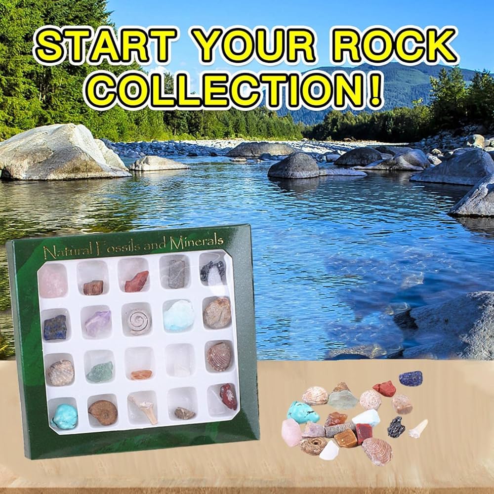 うぃるそん 鉱物セット Amazon.co.jp: GARVALON 教育用鉱物標本セット 20個 天然鉱石 石