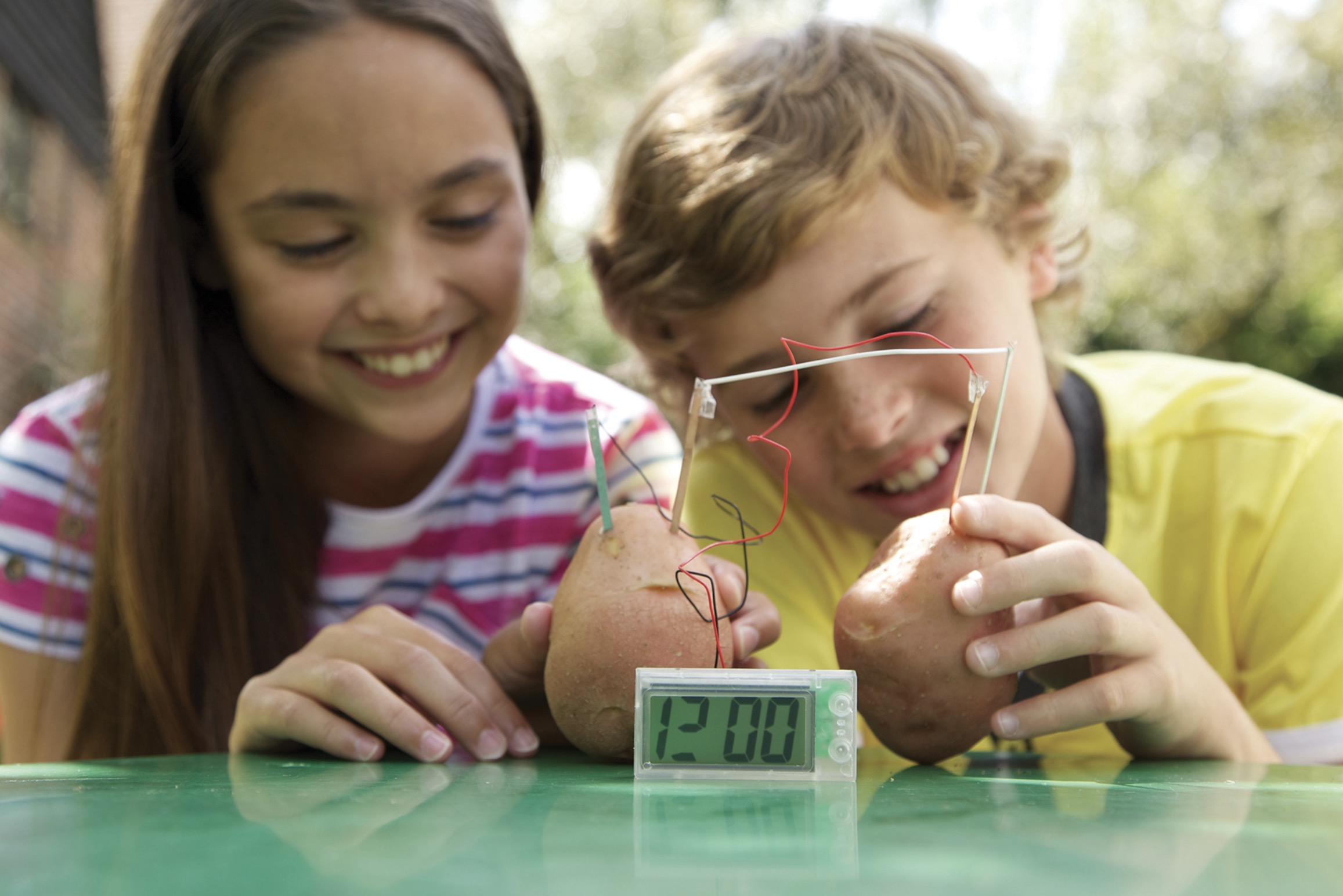 HOMSFOU Kit Di Batteria Per Frutta Esperimento Scientifico Patate Orologio Elettronico Gioco Educativo Per Ragazzo Ragazza Ragazza Attrezzatura Sperimentale Progetto Scientifico