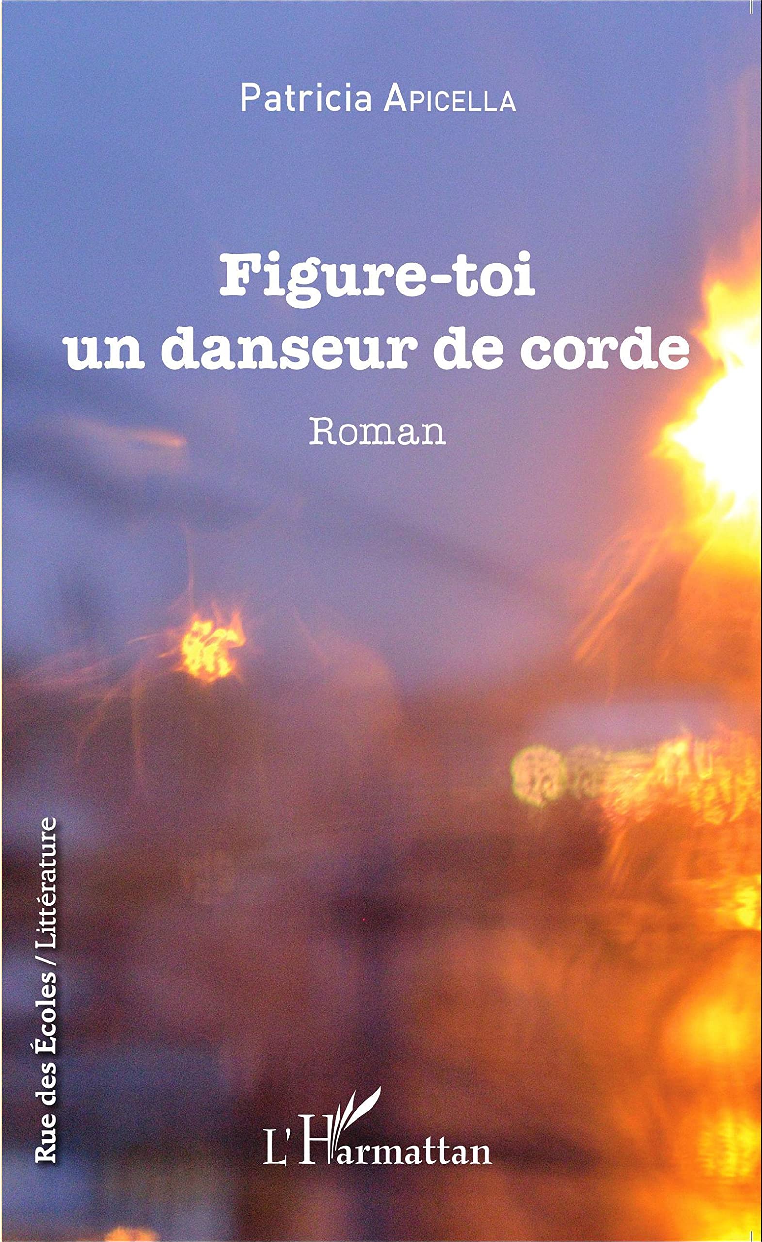 Figure-toi un danseur de corde: Roman
