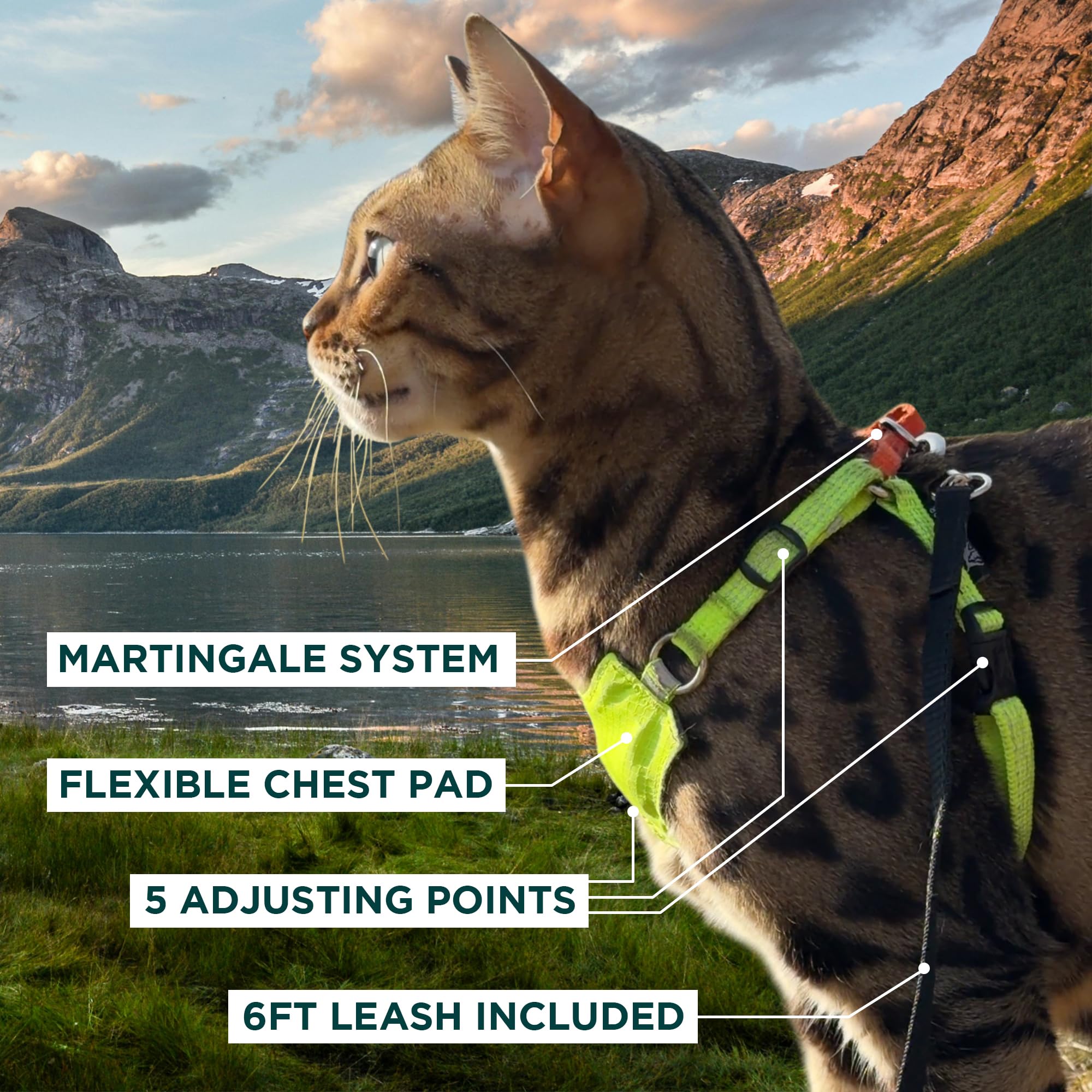 OutdoorBengal Always On™ Martingale Katzengeschirr und Leine, ausbruchsicheres Set – Weste für ganztägige Kätzchen-Abenteuer – erwachsene Katzen – Katzenleine und Geschirr ausbruchsicher + Leine