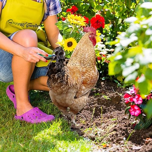 Miniatura 5 de Decoración de estatuas de jardín de gallo, figuras de escultura de pollo al aire libre, estacas acrílicas 3D, decoración de aves de corral,
