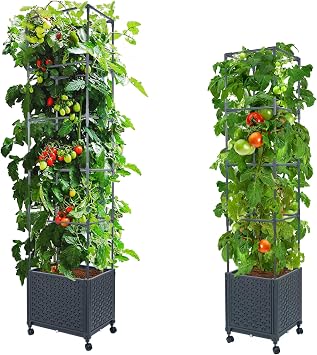 LINEX Raised Garden Bed Planter Box with Trellis, 56.7 & 67.6" Tomato Planters for Climbing Plants Vegetable Vine Flowers Outdoor Patio, Tomatoes Cage w/Self-Watering & Wheels
