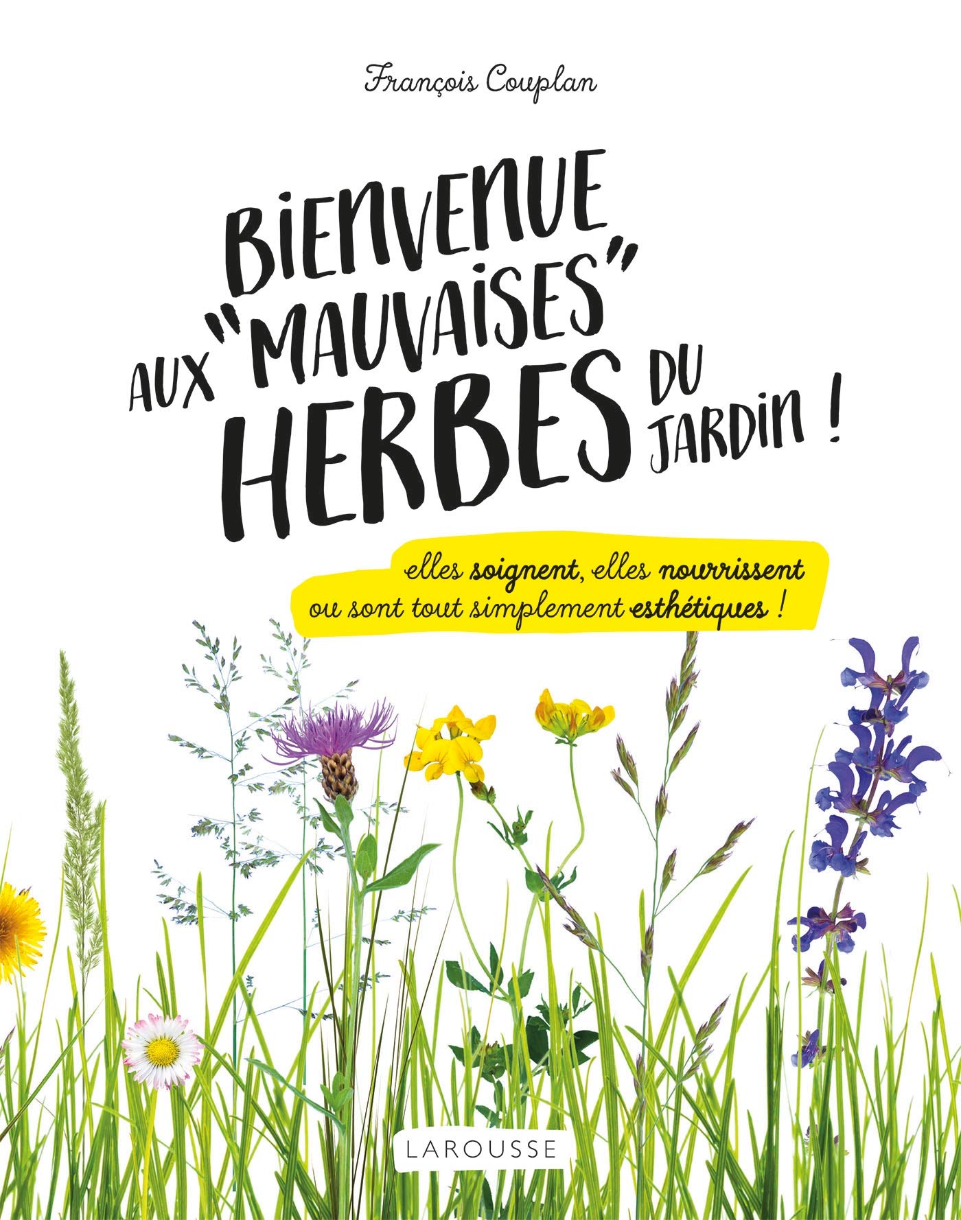 Bienvenue aux mauvaises herbes du jardin: Elles soignent, elles nourrissent ou sont tout simplement esthétiques