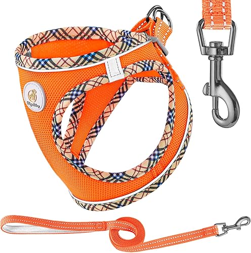 Miniatura 1 de Arnés para perro con correa, arnés ajustable para perro con arnés de malla suave sin tirones para mascotas, chaleco reflectante para cachorros, para