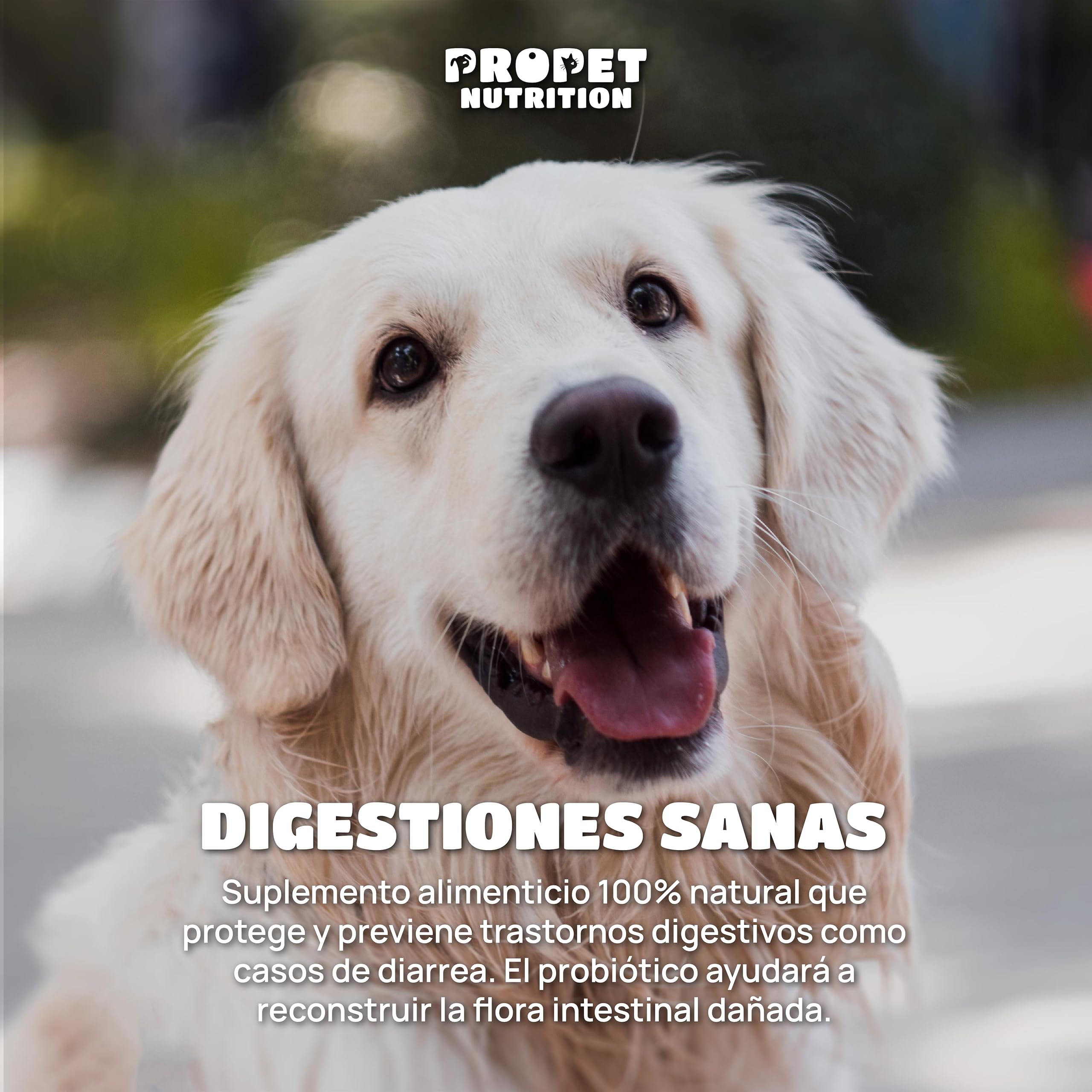 Probioticos Perros 10 Mil Millones UFC. Prebióticos y Vitamina B Complex. 11 Cepas Óptima Salud Intestinal. Refuerza Bienestar Gastrointestinal Perros. 100% Natural. 120 Comprimidos