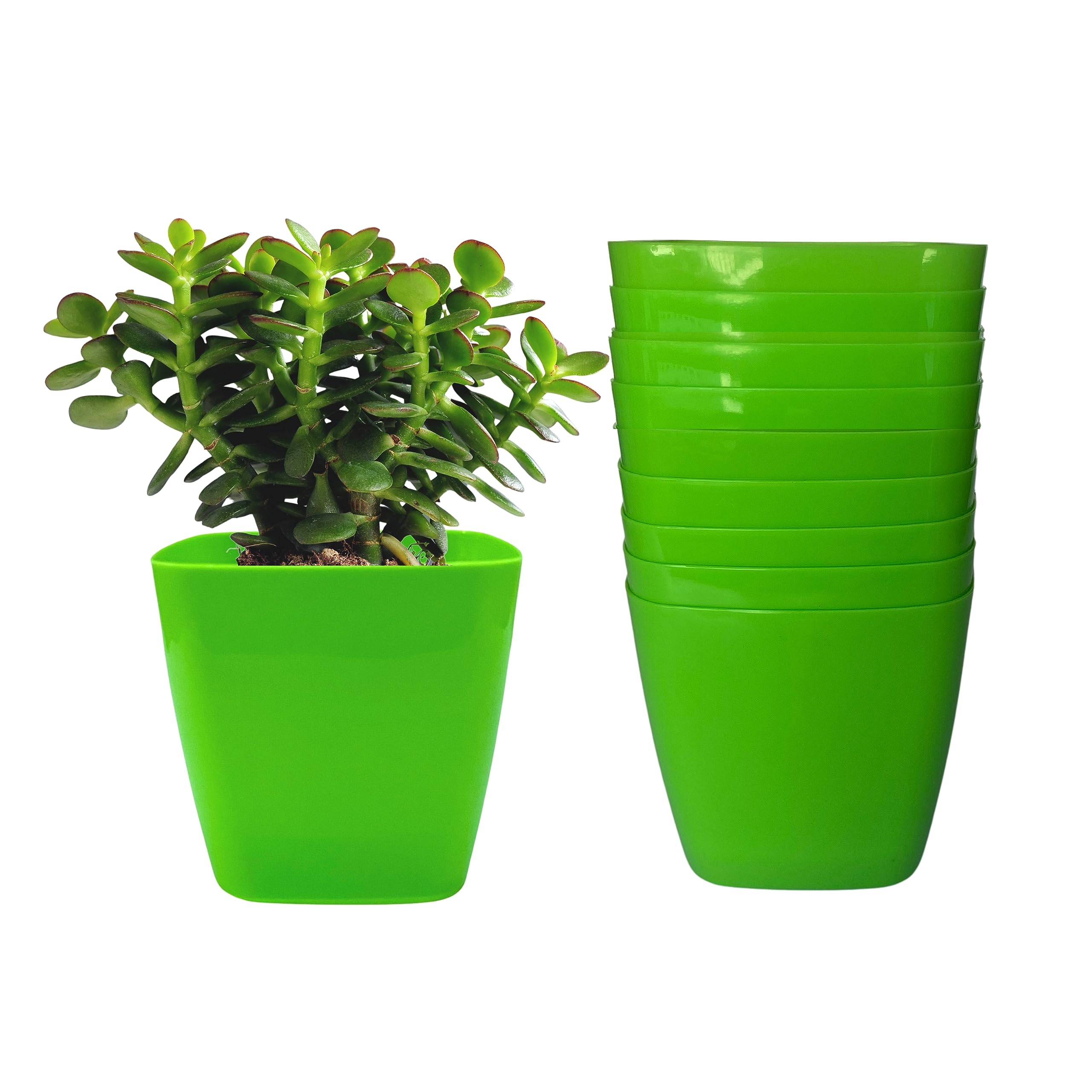 Indian Gardens - Olive (Small) Plastic Pots for Home Garden | Gardens and Home Planters | Plastic Plant Pot for Terrace Garden (Green, Set of 10) (B0C45YS9XV) Amazon Price History, Amazon Price Tracker