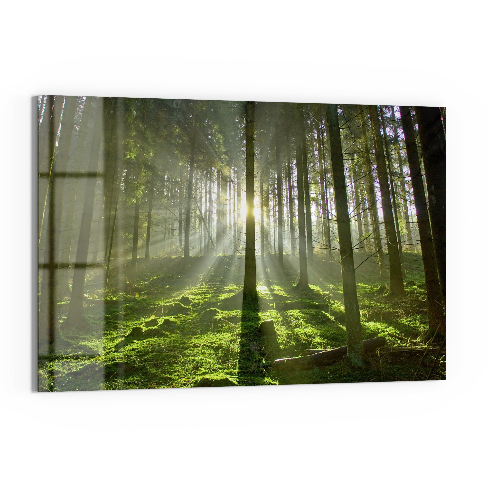 DEQORI Glas-Magnettafel | 60x40 cm cm groß | Motiv Waldlichtspiele | Memo-Board aus Glas | Magnetboard inkl. Magnete, Stift & Tuch für Küche & Büro | Tafel magnetisch & beschreibbar