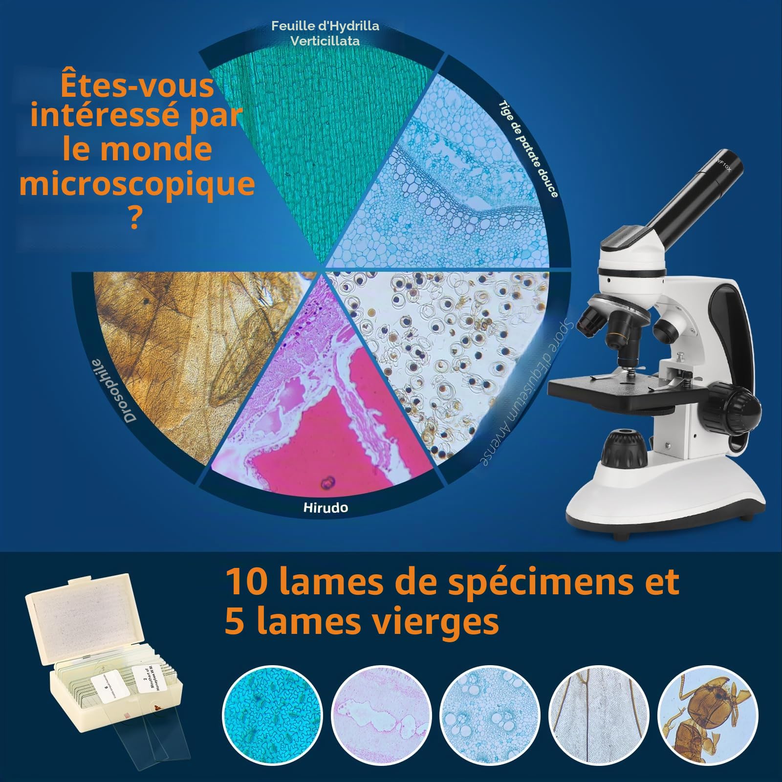 BEBANG 40X-2000X Microscope pour Enfants Adultes, Microscope étudiant à Double éclairage LED avec Kits scientifiques pour la Recherche en Laboratoire, éducation à Domicile
