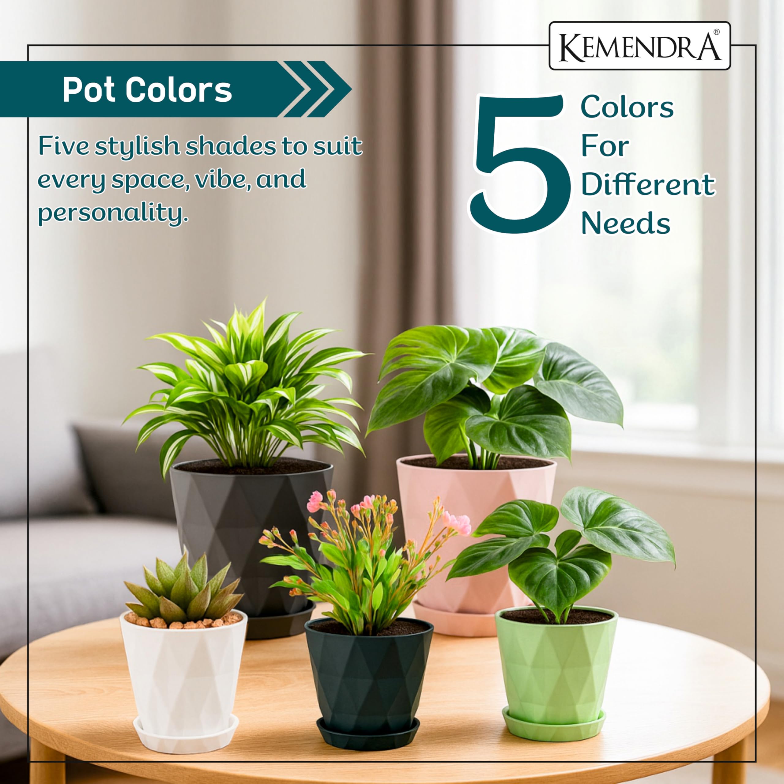 Kemendra® Plastic Flower Pots for Home Decoration, Plant pots for Home Decor, pots for Plants Big Size Plant Pots for Garden Balcony Plastic Flower pots for Garden (Round Diamond Multi Colour 5) - Image 8 thumbnail
