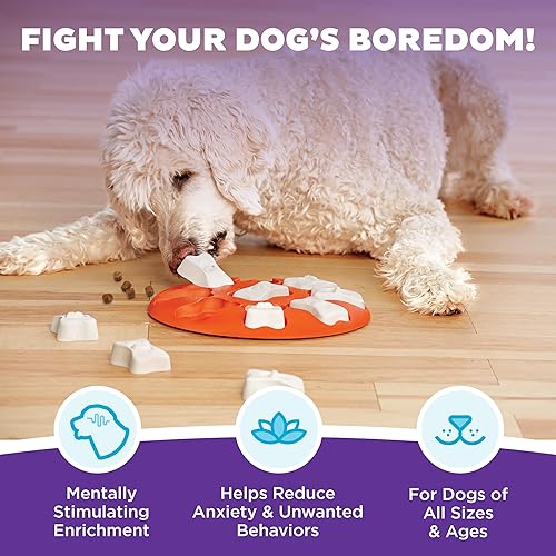 Miniatura 10 de Nina Ottosson by Outward Hound, Puppy Smart - Juguete para perro de rompecabezas interactivo de color azul