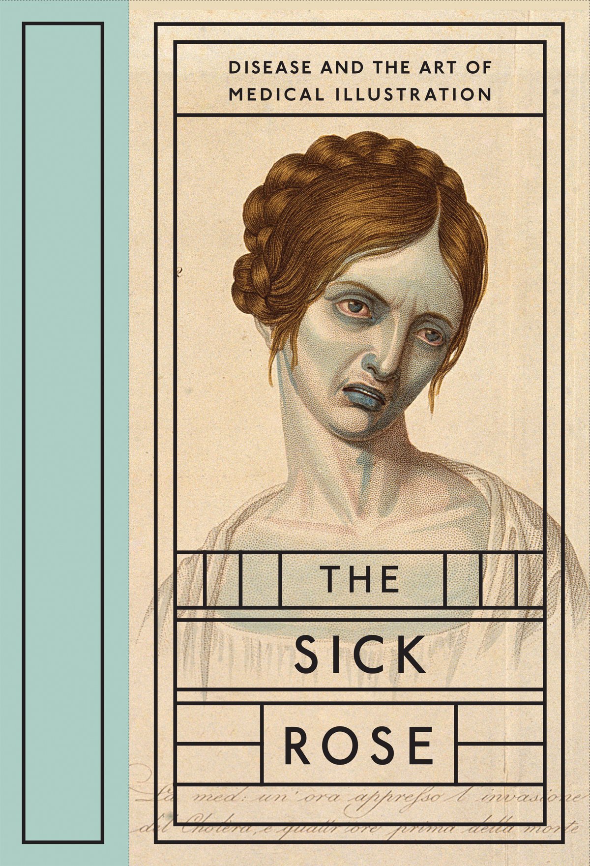 The Sick Rose: Disease and the Art of Medical Illustration Hardcover – May 31, 2014