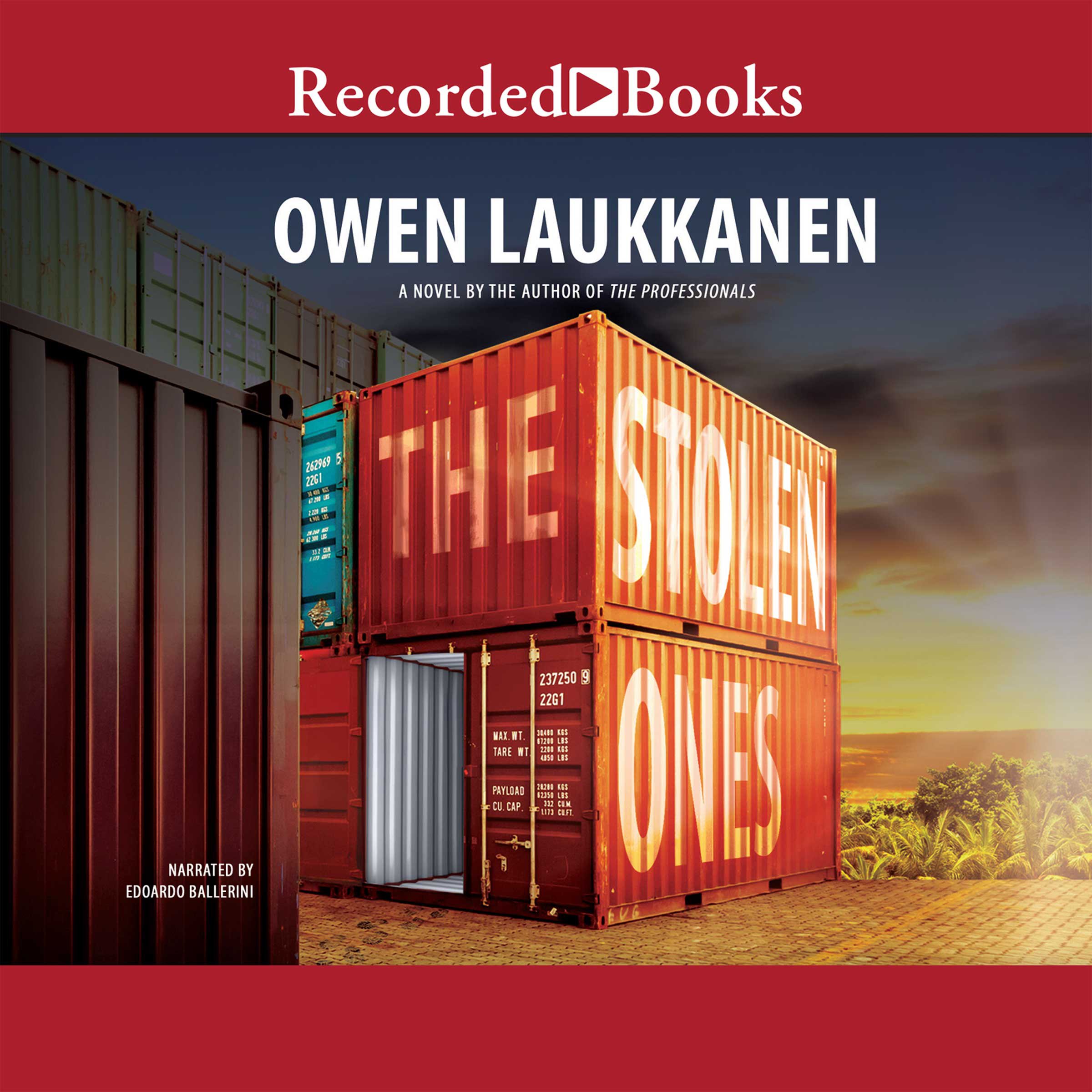 Cover art for The Stolen Ones
