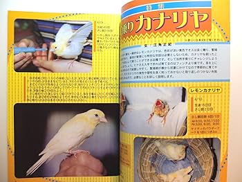 手乗り鳥の本 9号 |本 | 通販 | Amazon