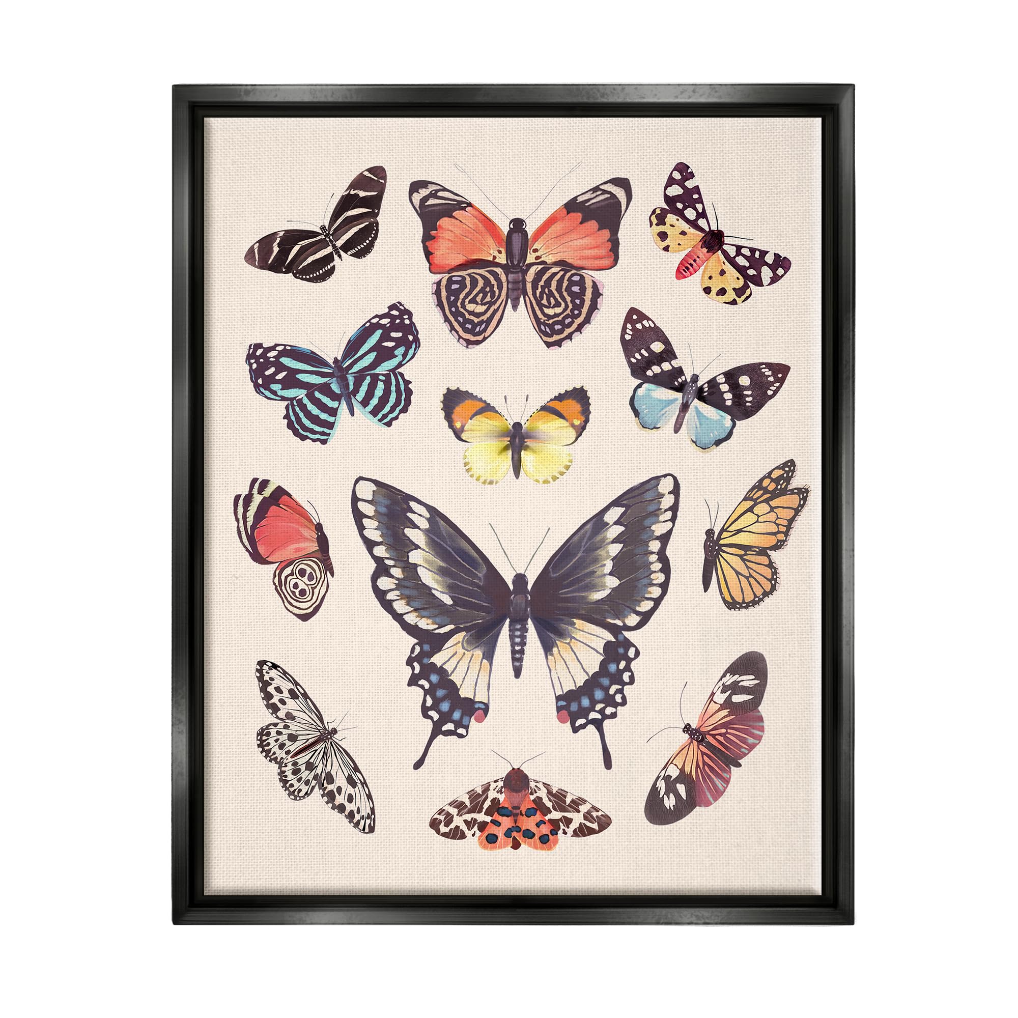 Stupell Industries Cottage Moths & Butterflies Framed Floater Canvas Wall Art by Diane Neukirch