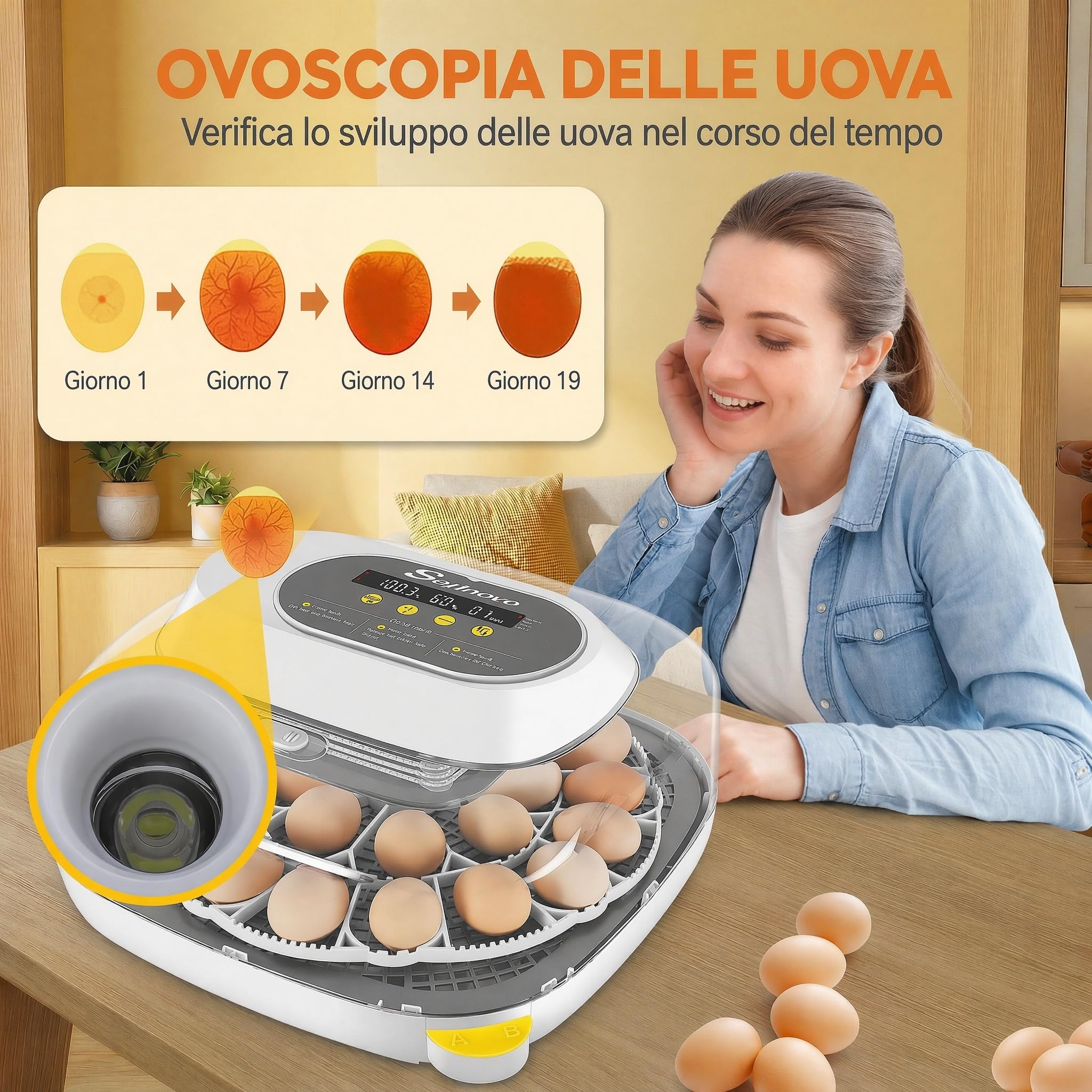 Sailnovo incubatrice automatica per 24 uova, 4 modalità per volatili, con girauova automatico, controllo temperatura e allarme umidità, per uova di gallina, anatra e quaglia (Grigio)