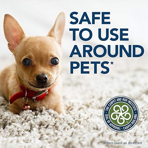 Miniatura 6 de Solución simple Naranja Oxy Cargado las manchas y olor Remover Spray, 32oz