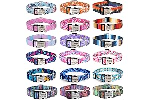 Personalized Floral Dog Collar: Unveil Your Dog's Charm with Exquisite Engraved Details