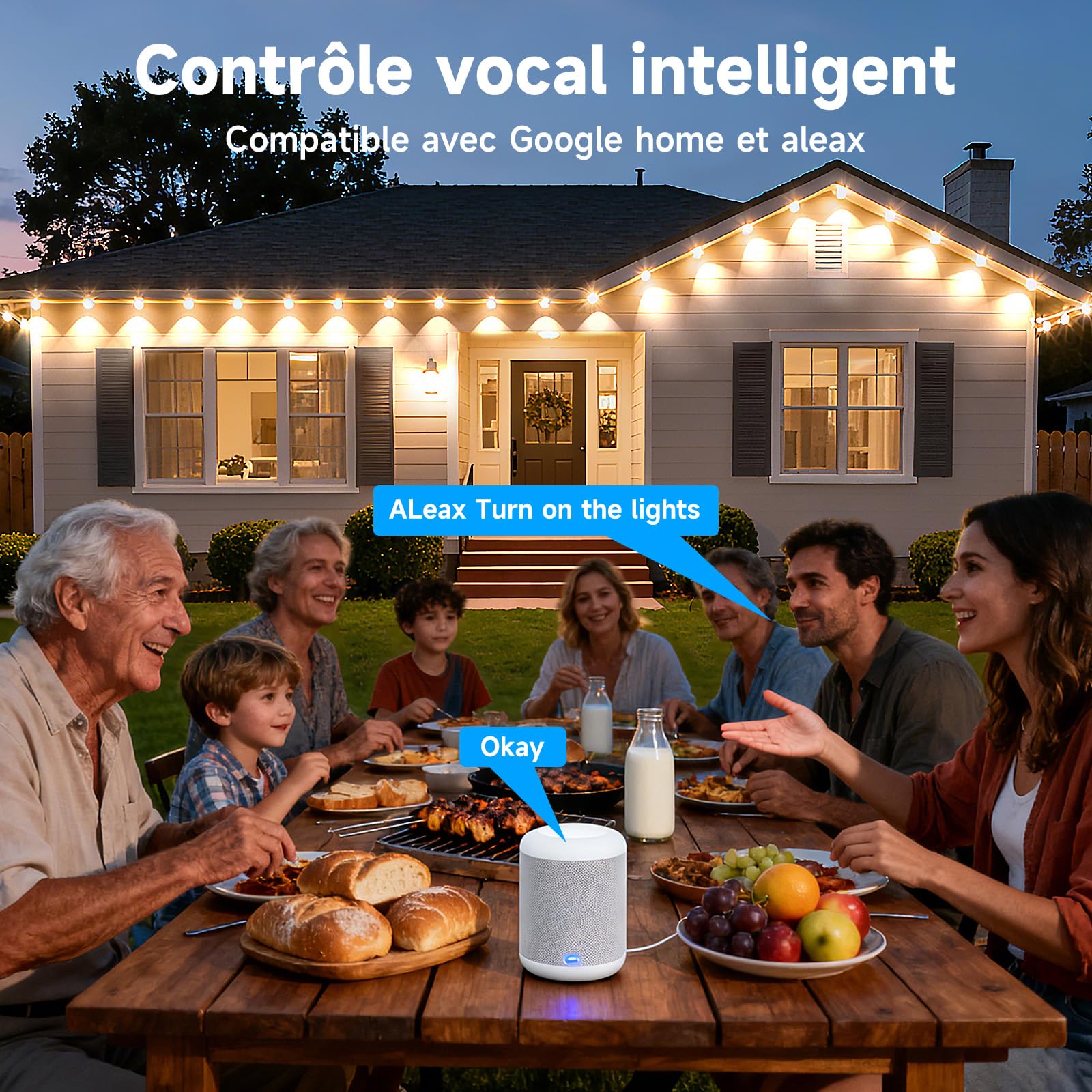 Éclairage Extérieur Permanent 30M Light RGBCW (2700K-6500K) Guirlande Lumineuse Intelligente pour les Fêtes de Jardin de Décoration de Noël et l'éclairage Quotidien IP67 Blanc